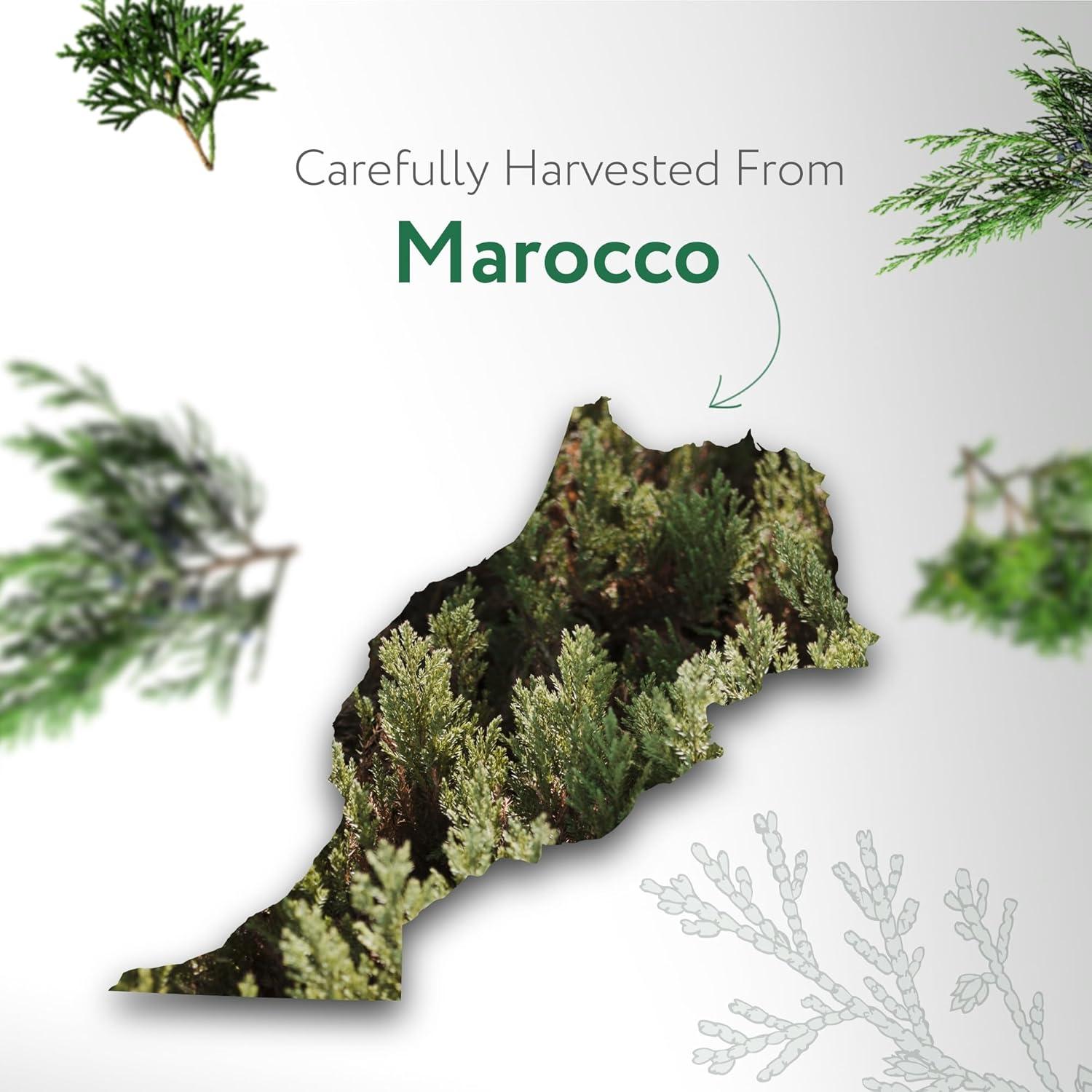 Aceite Esencial Orgánico de Madera de Cedro HBNO 30ml