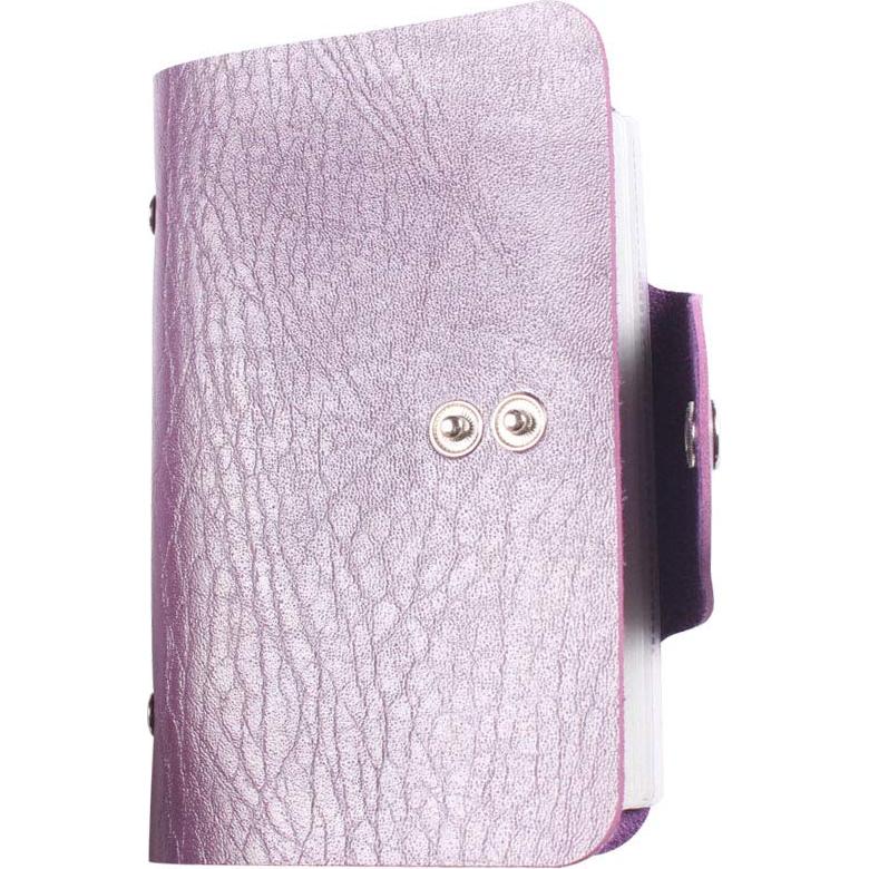 Organizador de Placas de Estampado de Uñas HaiQiang 20 Ranuras