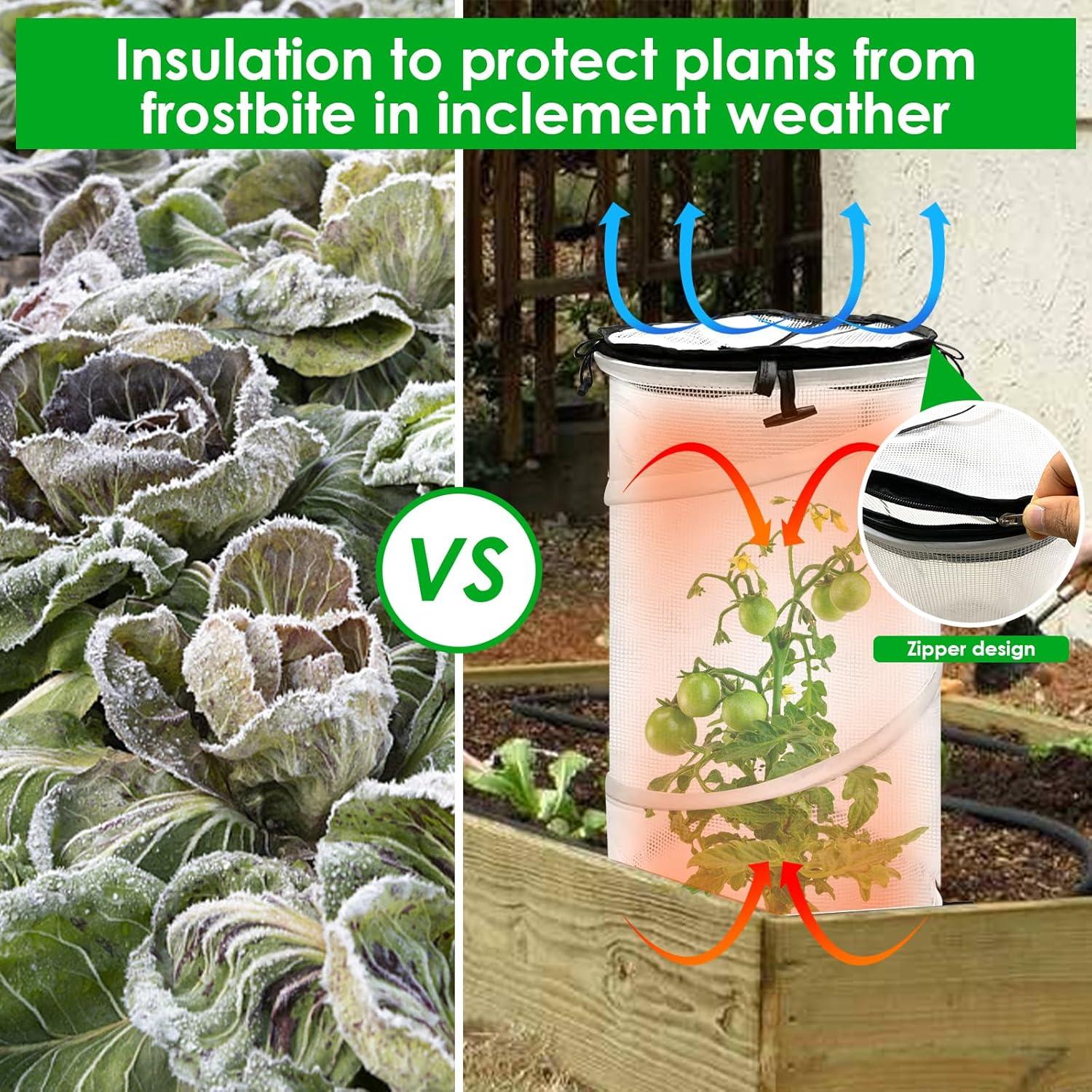 Paquete de 2 Invernaderos Mini Emergentes Vecacosic 50x25cm