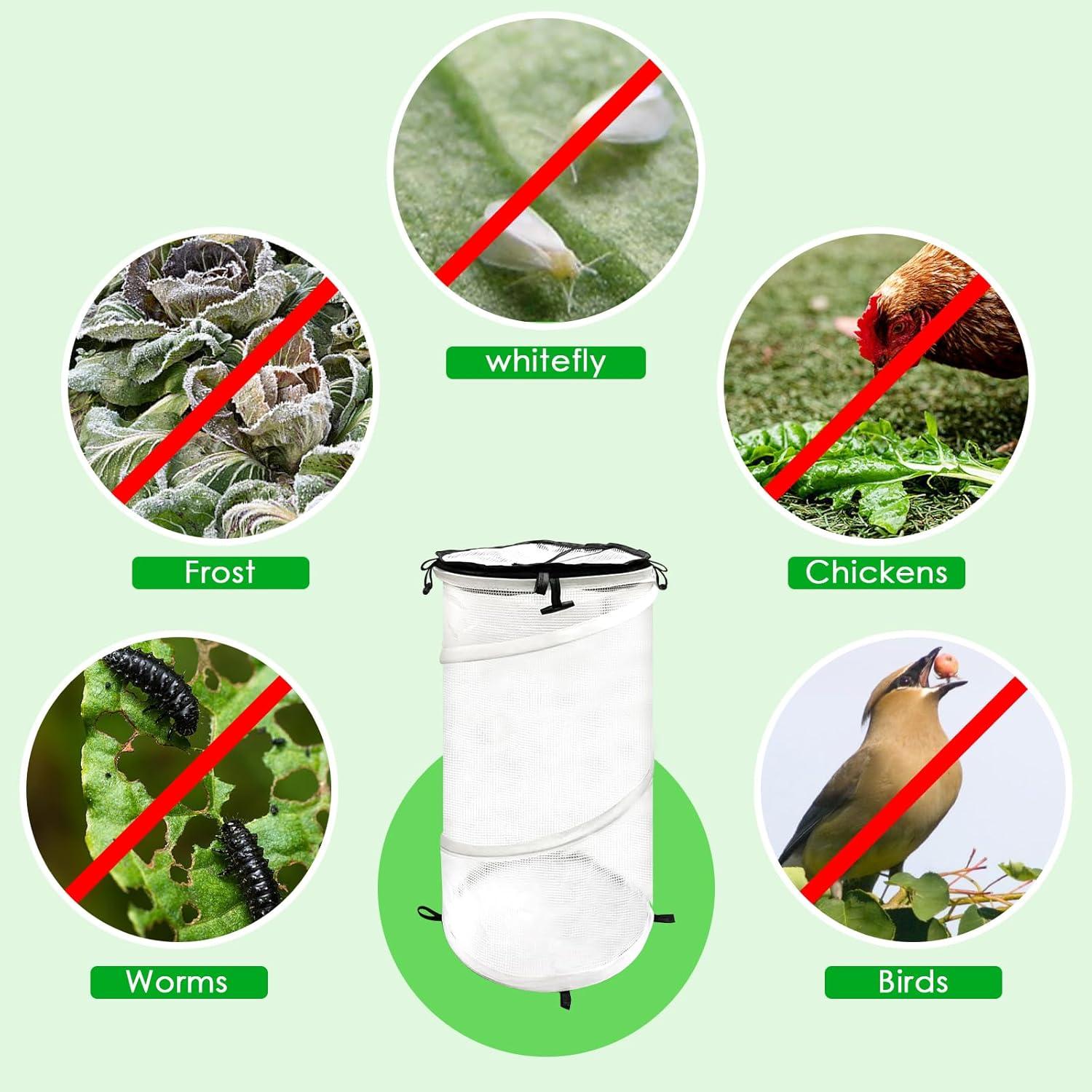 Paquete de 2 Invernaderos Mini Emergentes Vecacosic 50x25cm