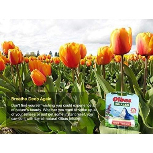 Inhalador Nasal Olbas 285 mg - Alivio Respiratorio Natural