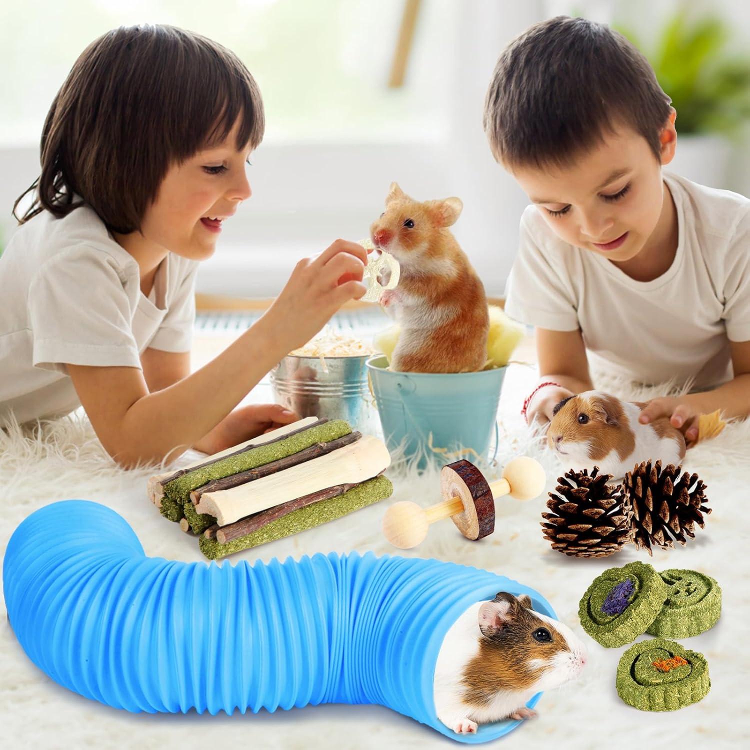 Set de Juguetes para Hámster Kyouki - 24 Accesorios Enriquecedores