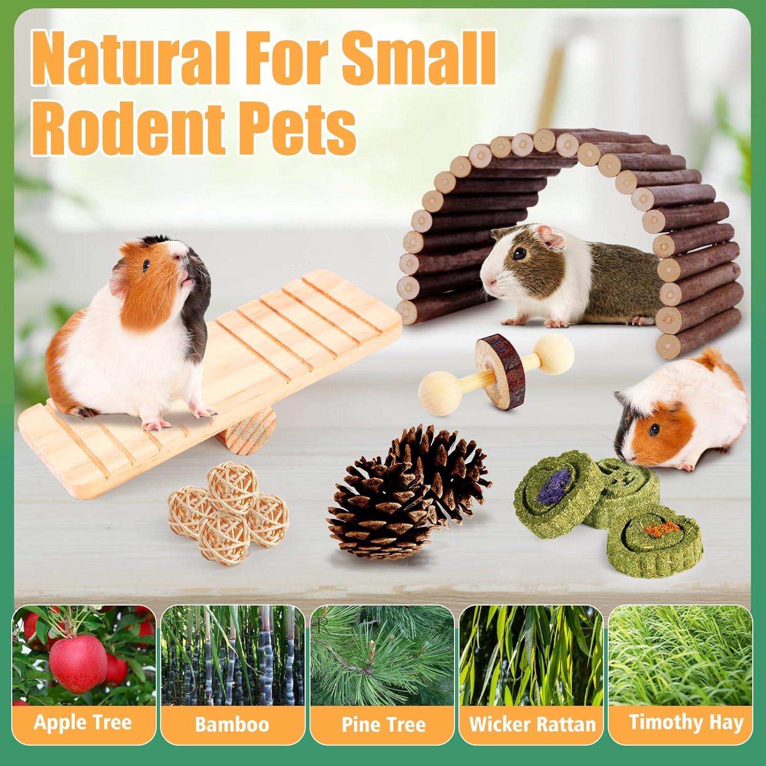 Set de Juguetes para Hámster Kyouki - 24 Accesorios Enriquecedores