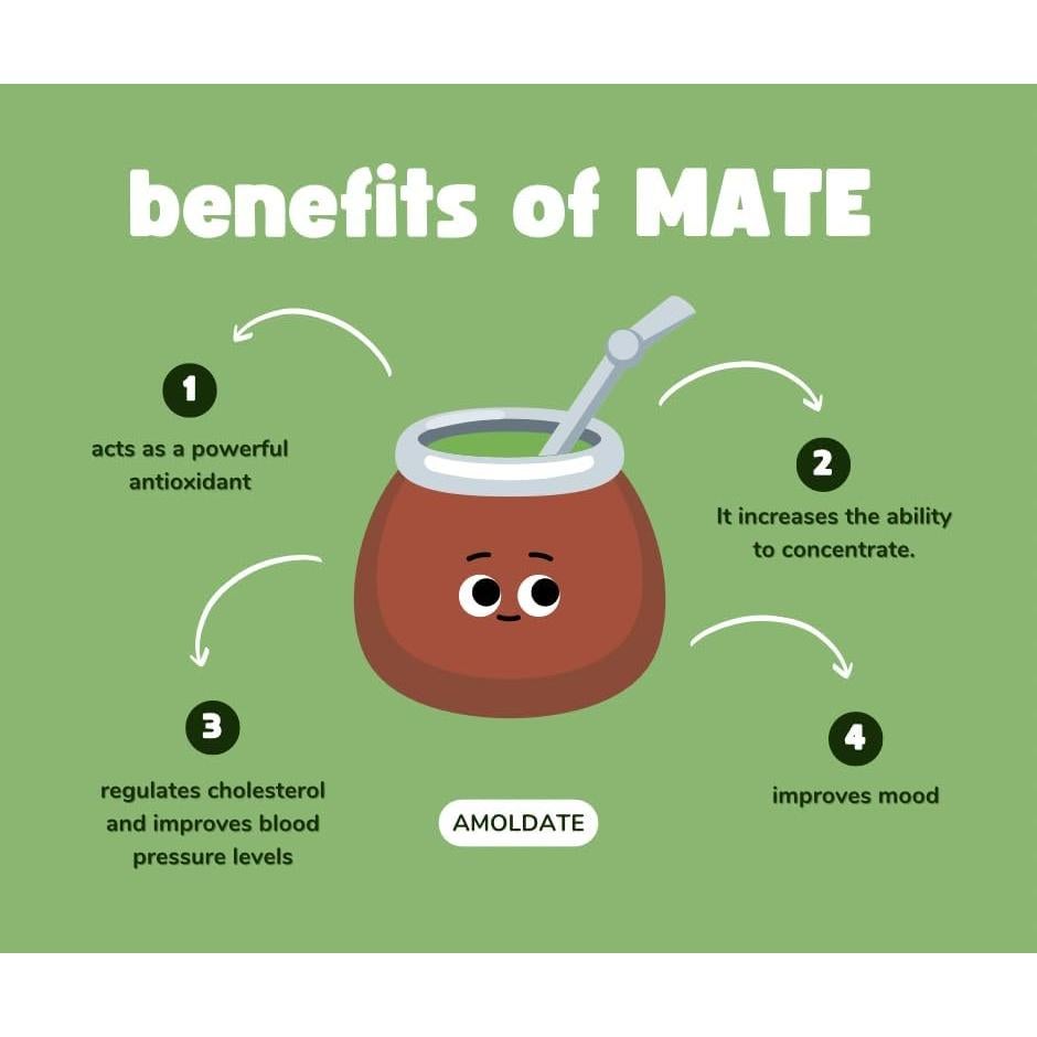 Taza de Yerba Mate MATEAVA Acero Inoxidable Doble Pared