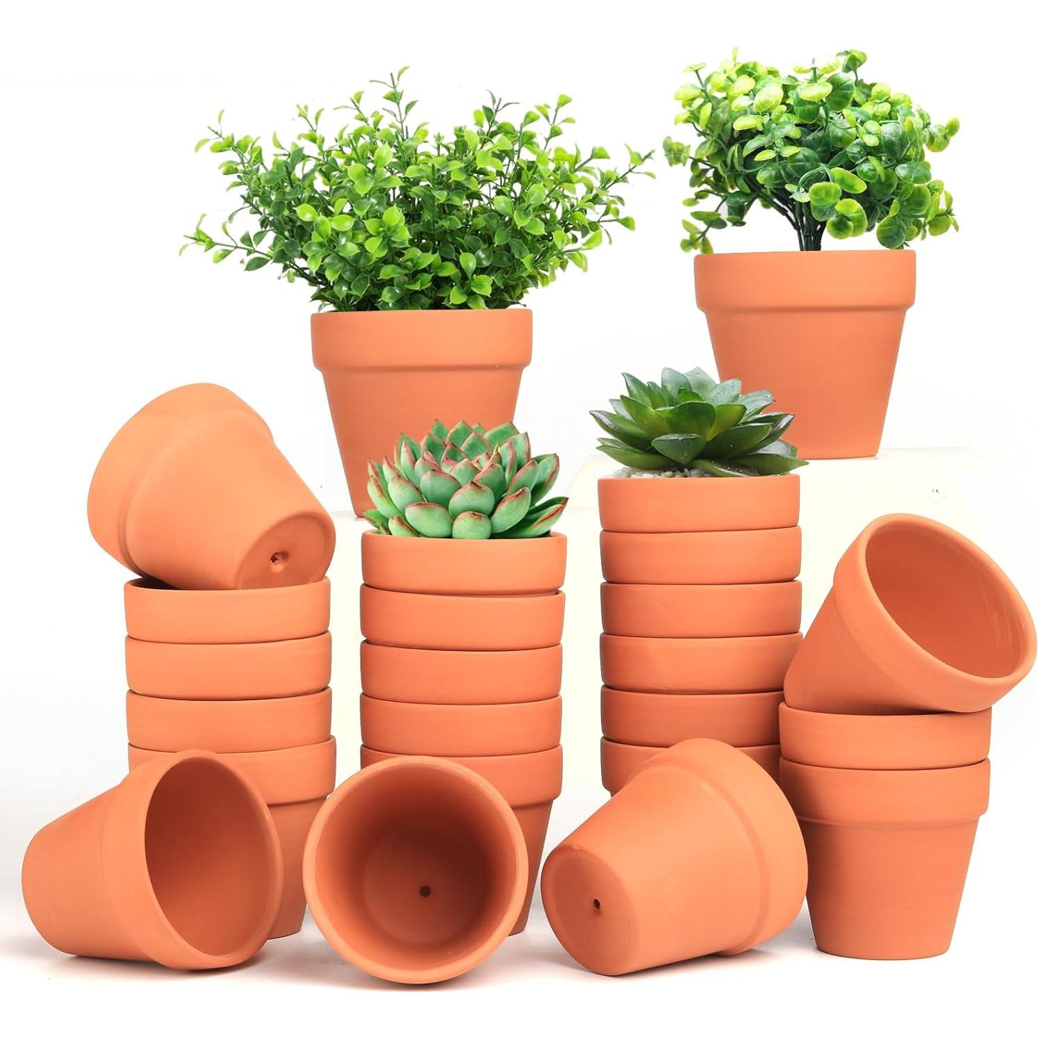 Macetas de Terracota Baxrou, Paquete de 24 Mini 8 cm