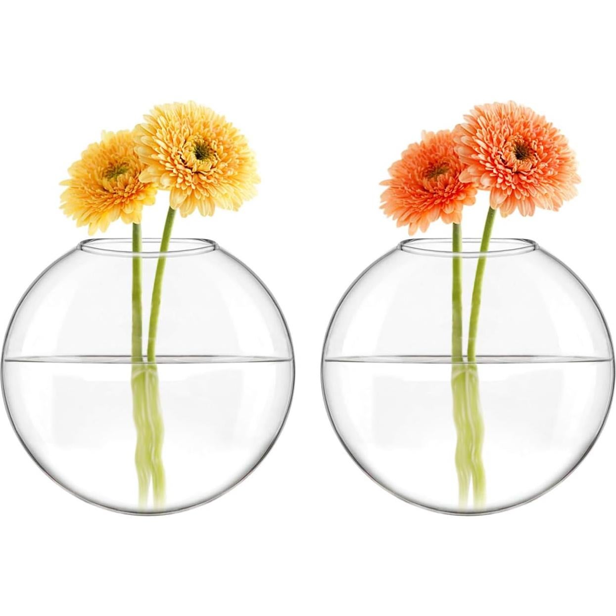 Mkono Soporte de Pared para Terrarios de Vidrio, Set de 2