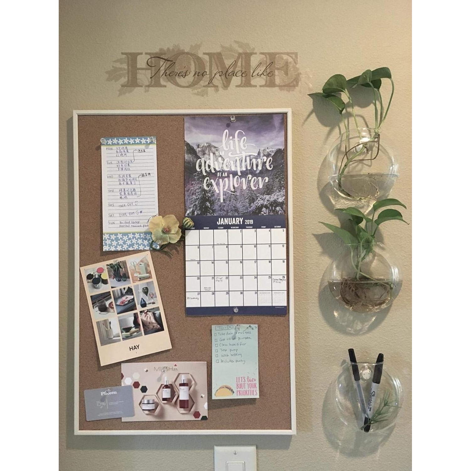 Mkono Soporte de Pared para Terrarios de Vidrio, Set de 2