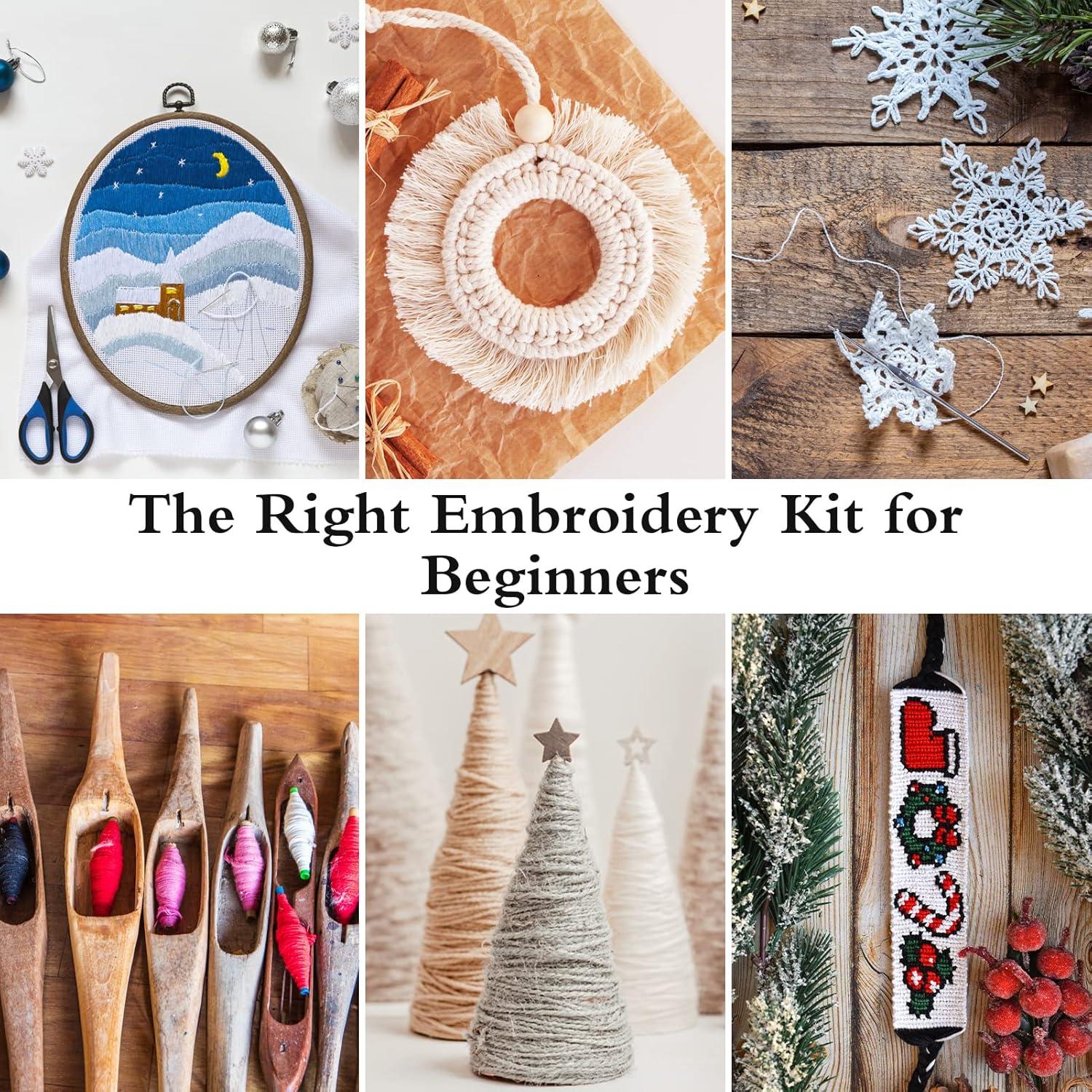 Caydo Kit de Hilo de Bordado 50 Madejas 12 Bobinas 8m