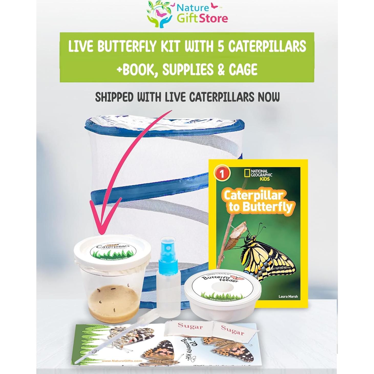 Kit de Criar Mariposas Vivas Nature Gift Store - 5 Orugas + Jaula 30cm