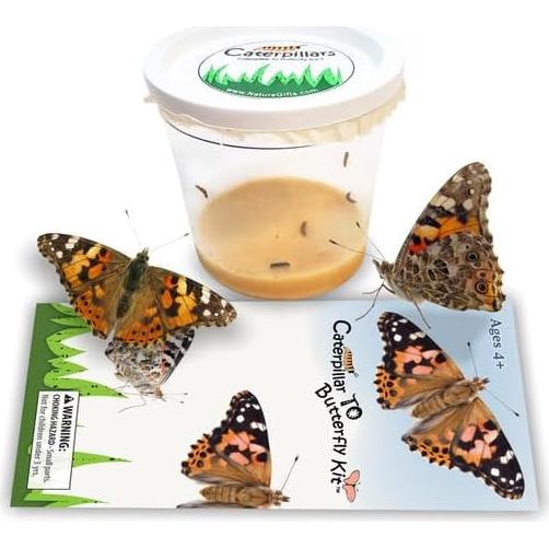 Kit de Criar Mariposas Vivas Nature Gift Store - 5 Orugas + Jaula 30cm