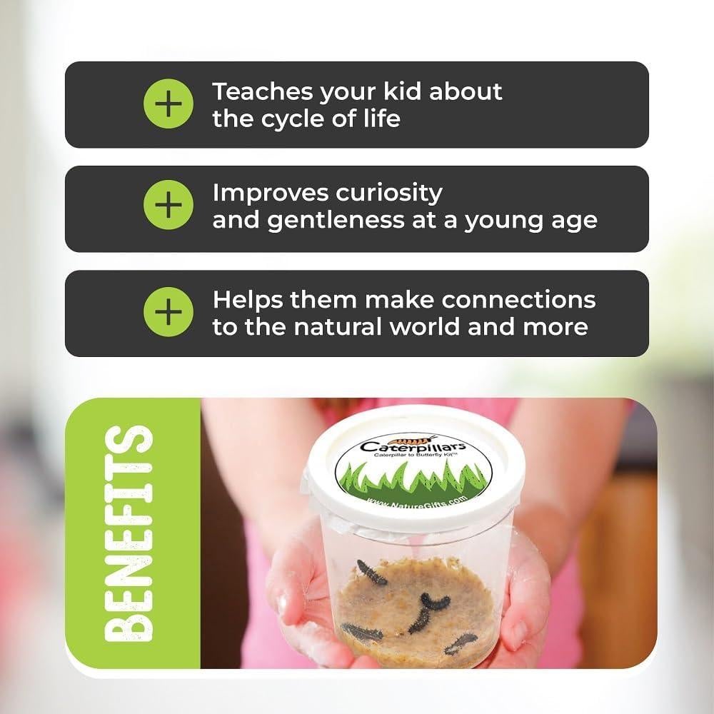 Kit de Criar Mariposas Vivas Nature Gift Store - 5 Orugas + Jaula 30cm