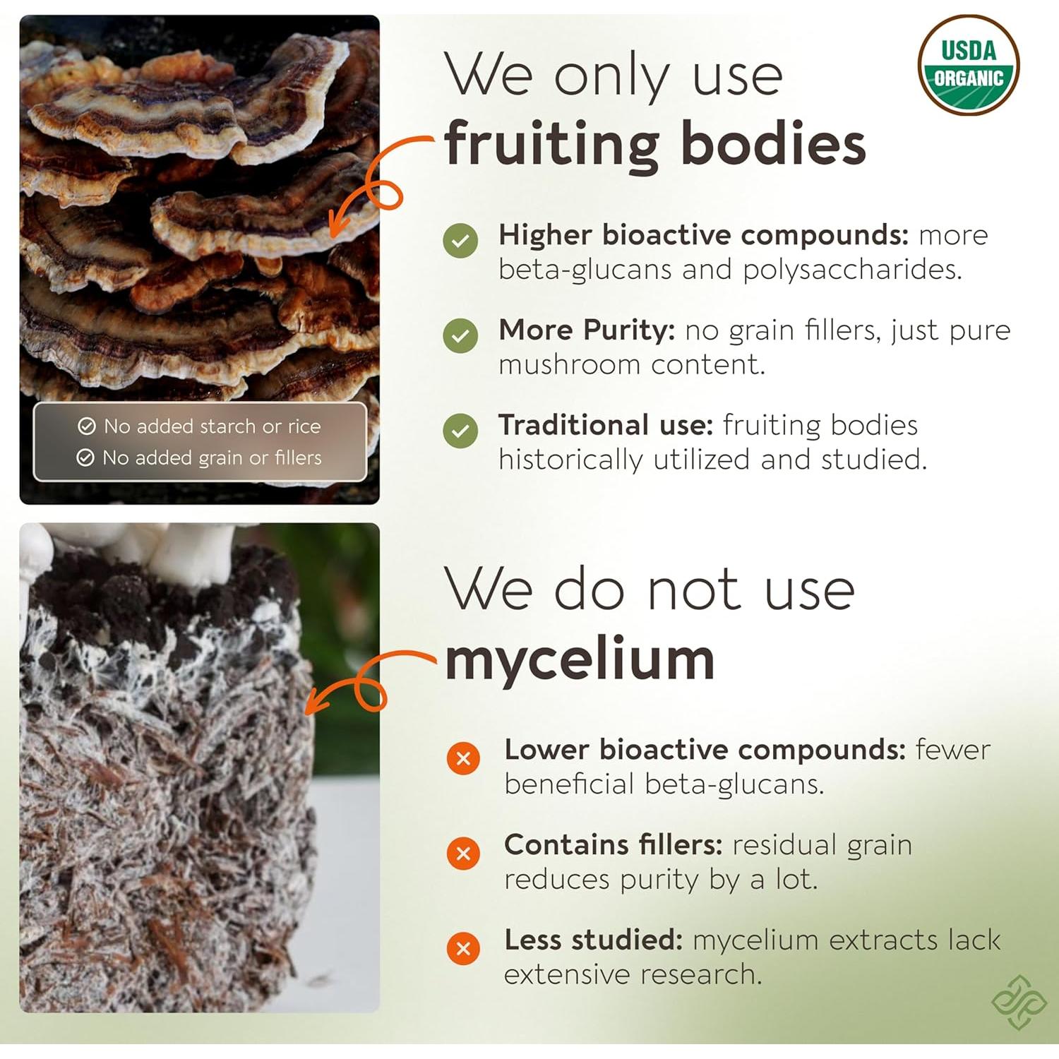 Mezcla de Hongos Orgánicos Longevity Botanicals 100g - Reishi, Melena de León, Chaga, Cordyceps