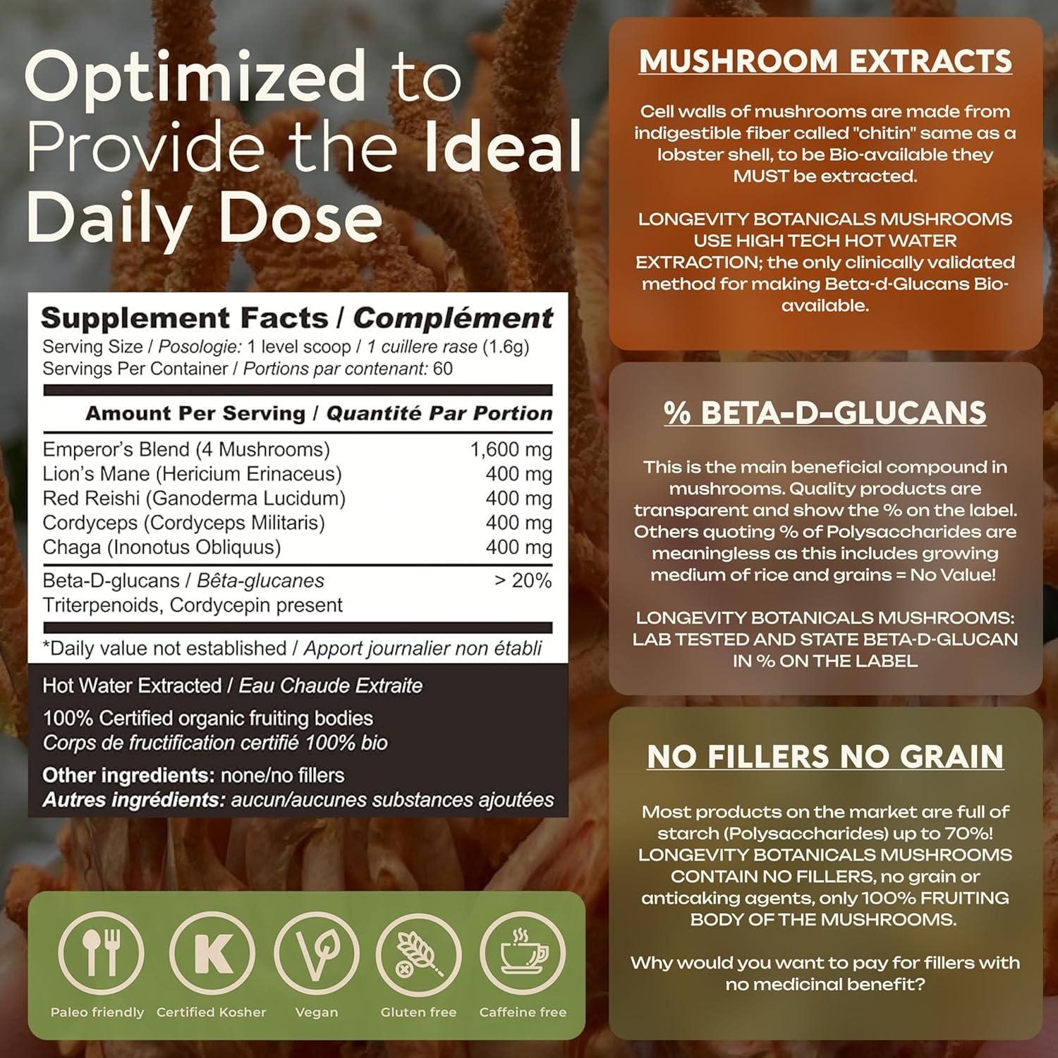 Mezcla de Hongos Orgánicos Longevity Botanicals 100g - Reishi, Melena de León, Chaga, Cordyceps