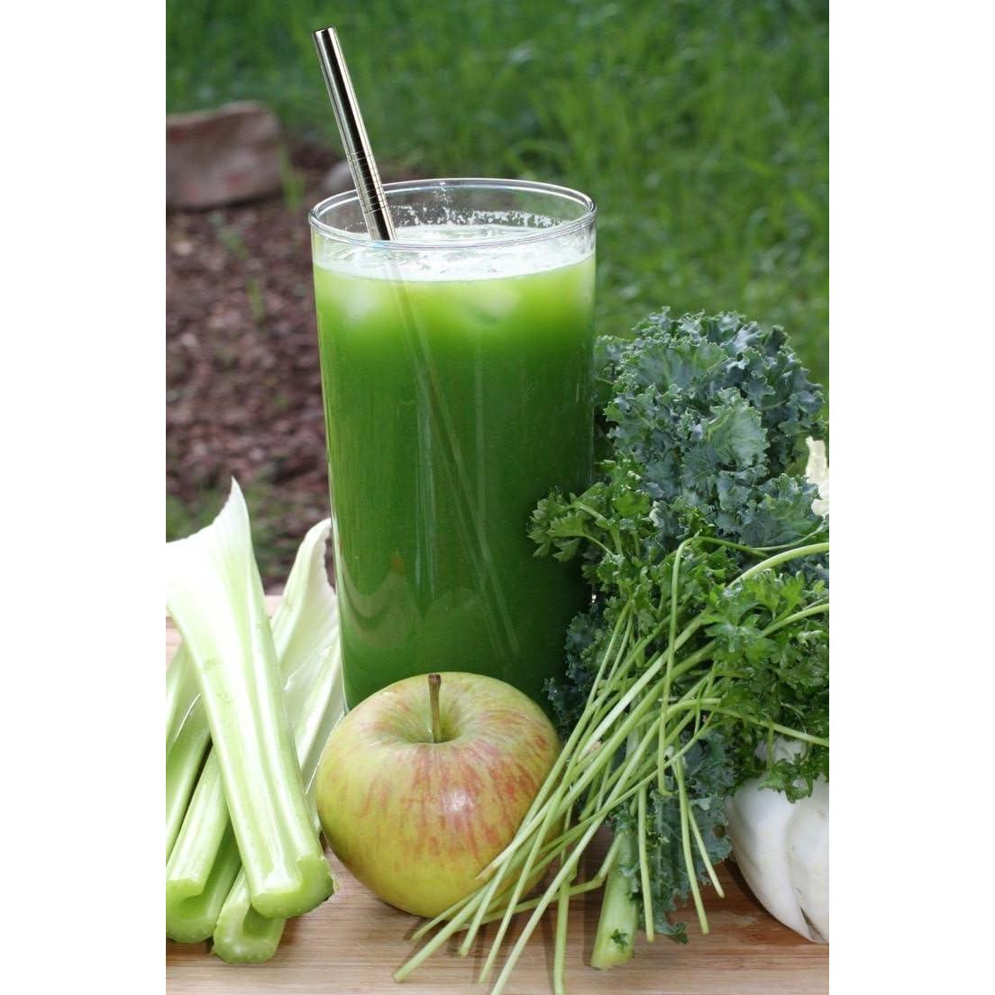 Popotes de Acero Inoxidable ALINK, Set de 4 Reutilizables 23 cm