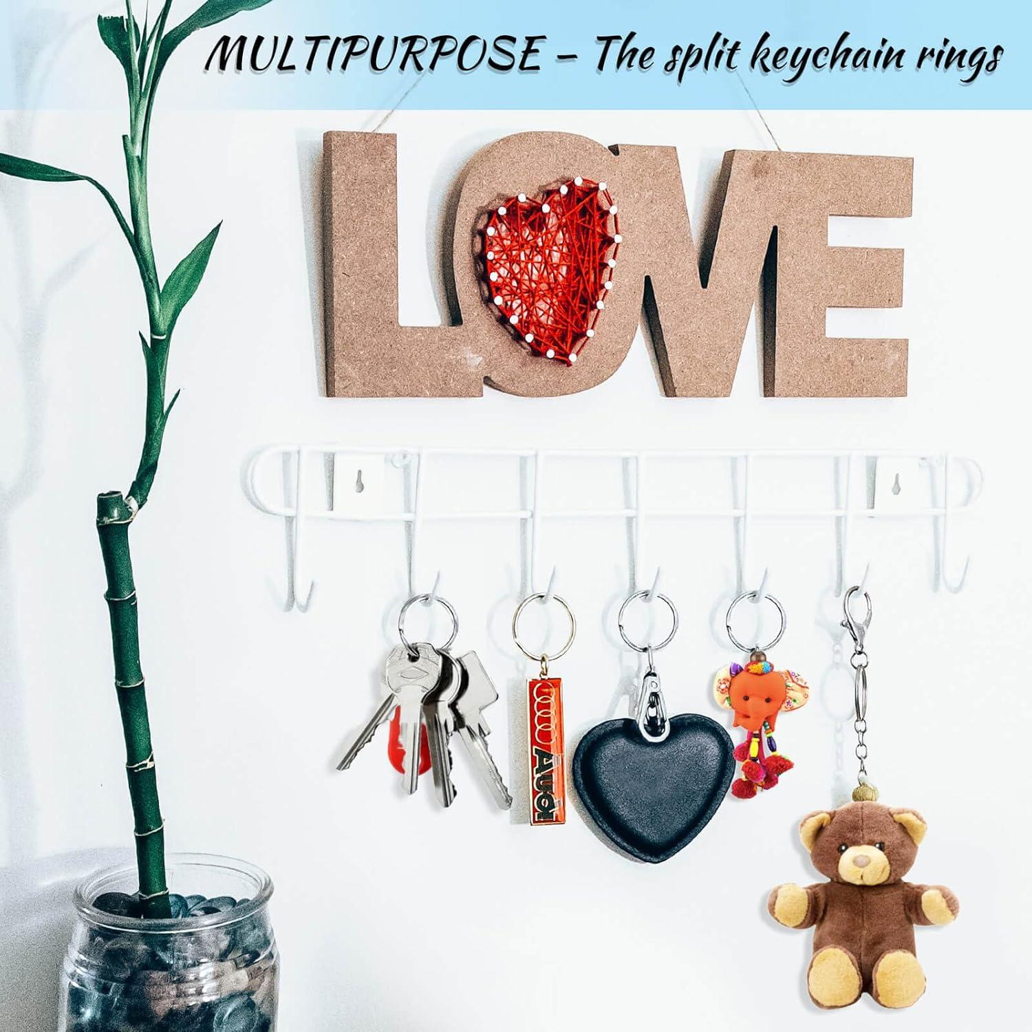 Paxcoo 100 Anillas de Llave Divididas de Metal 2.5 cm Plata