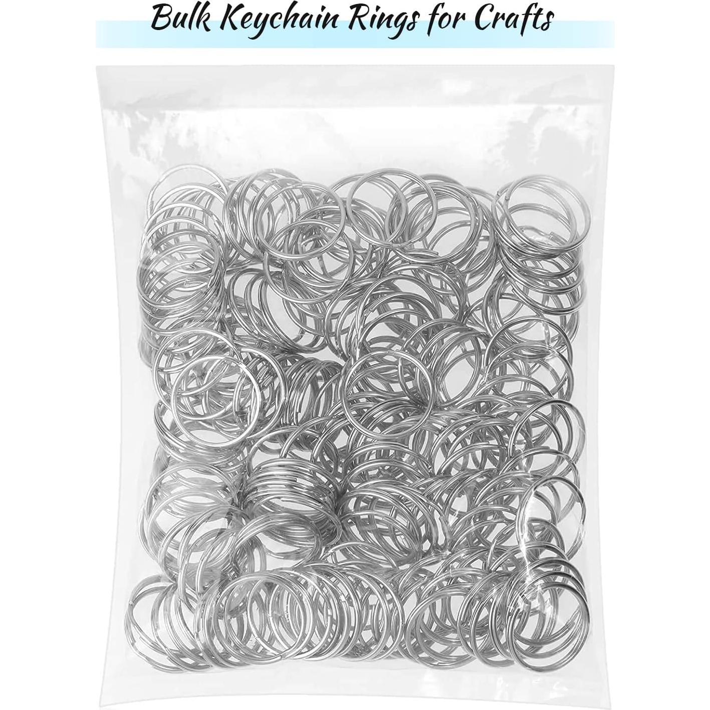 Paxcoo 100 Anillas de Llave Divididas de Metal 2.5 cm Plata