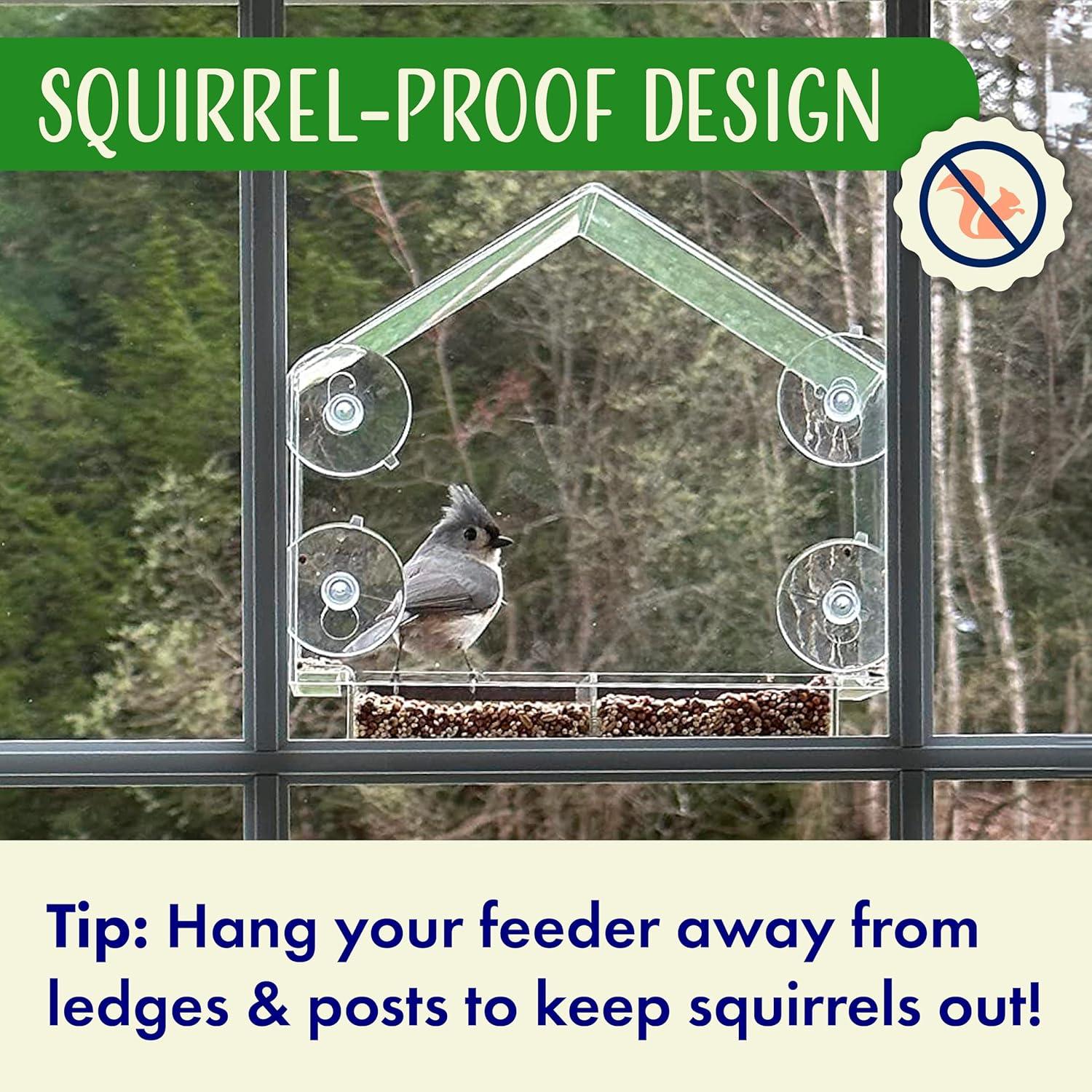 Comedero de Aves para Ventana Nature's Hangout 0.95L Transparente