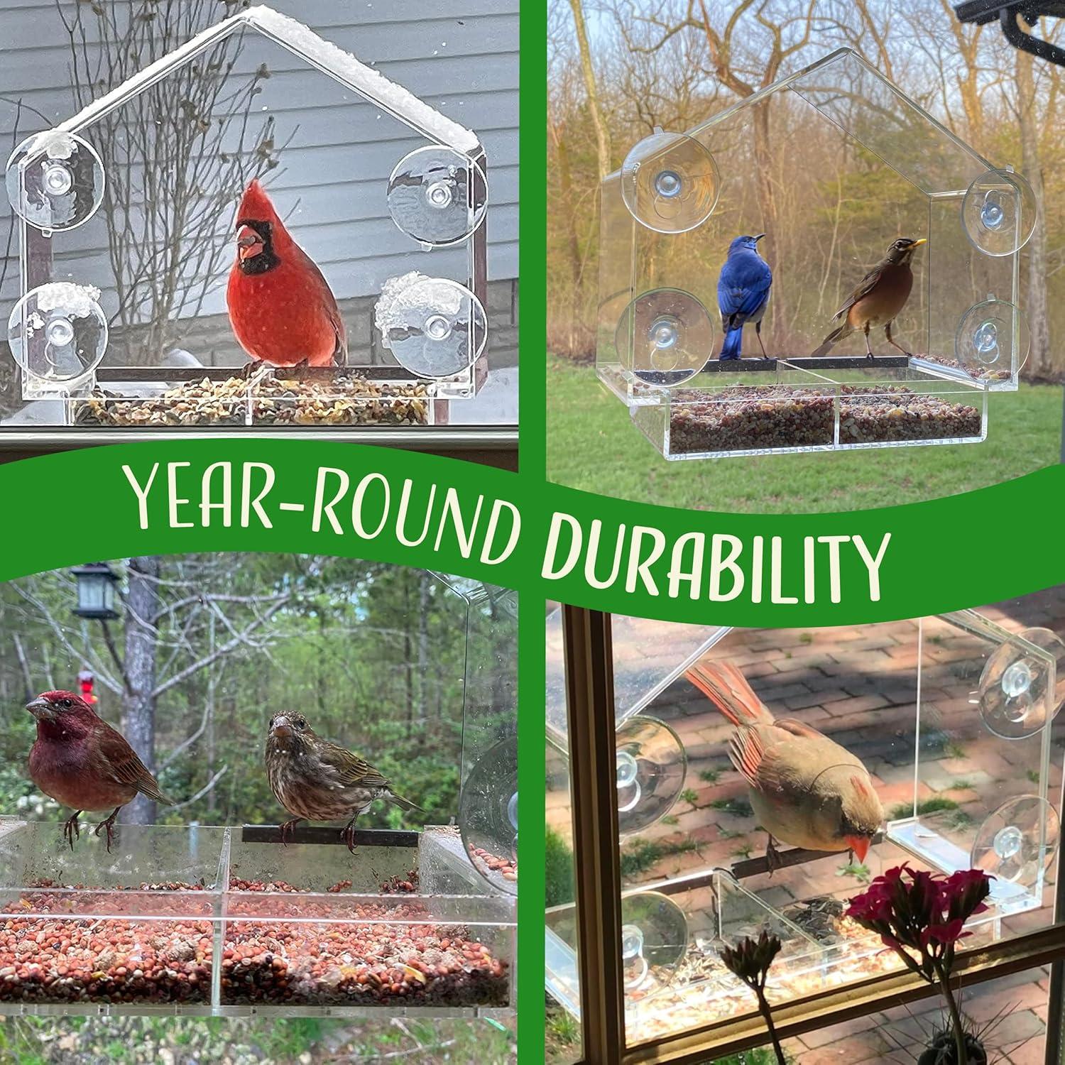 Comedero de Aves para Ventana Nature's Hangout 0.95L Transparente