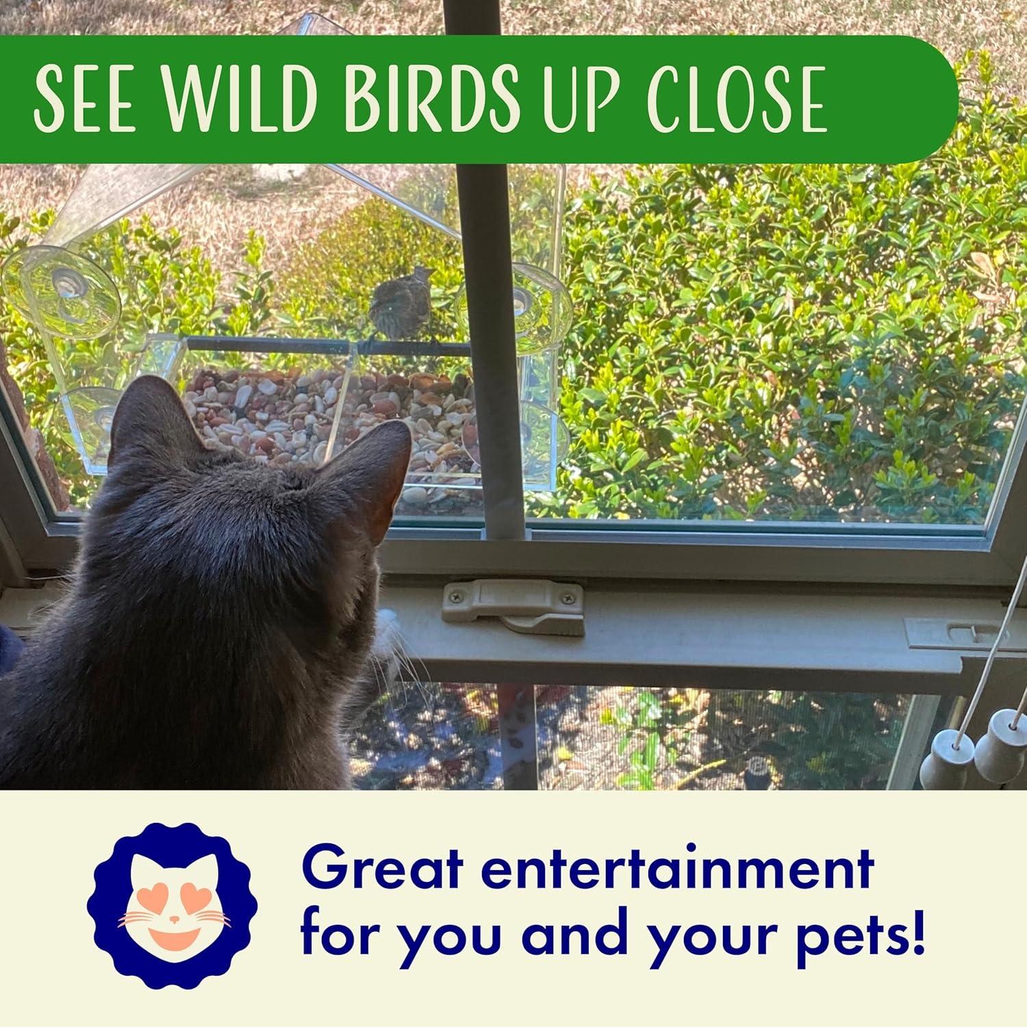 Comedero de Aves para Ventana Nature's Hangout 0.95L Transparente