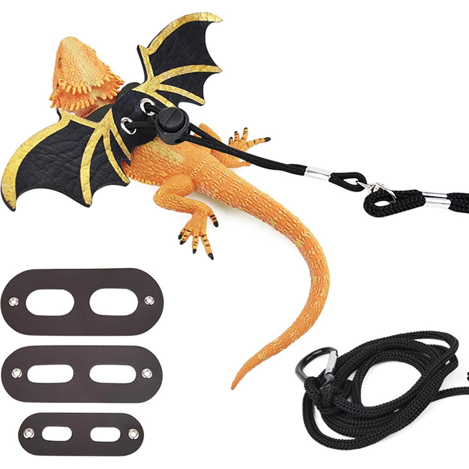 Correa y Arnés para Dragón Barbado ZukoCert - 3 Tamaños Ajustables