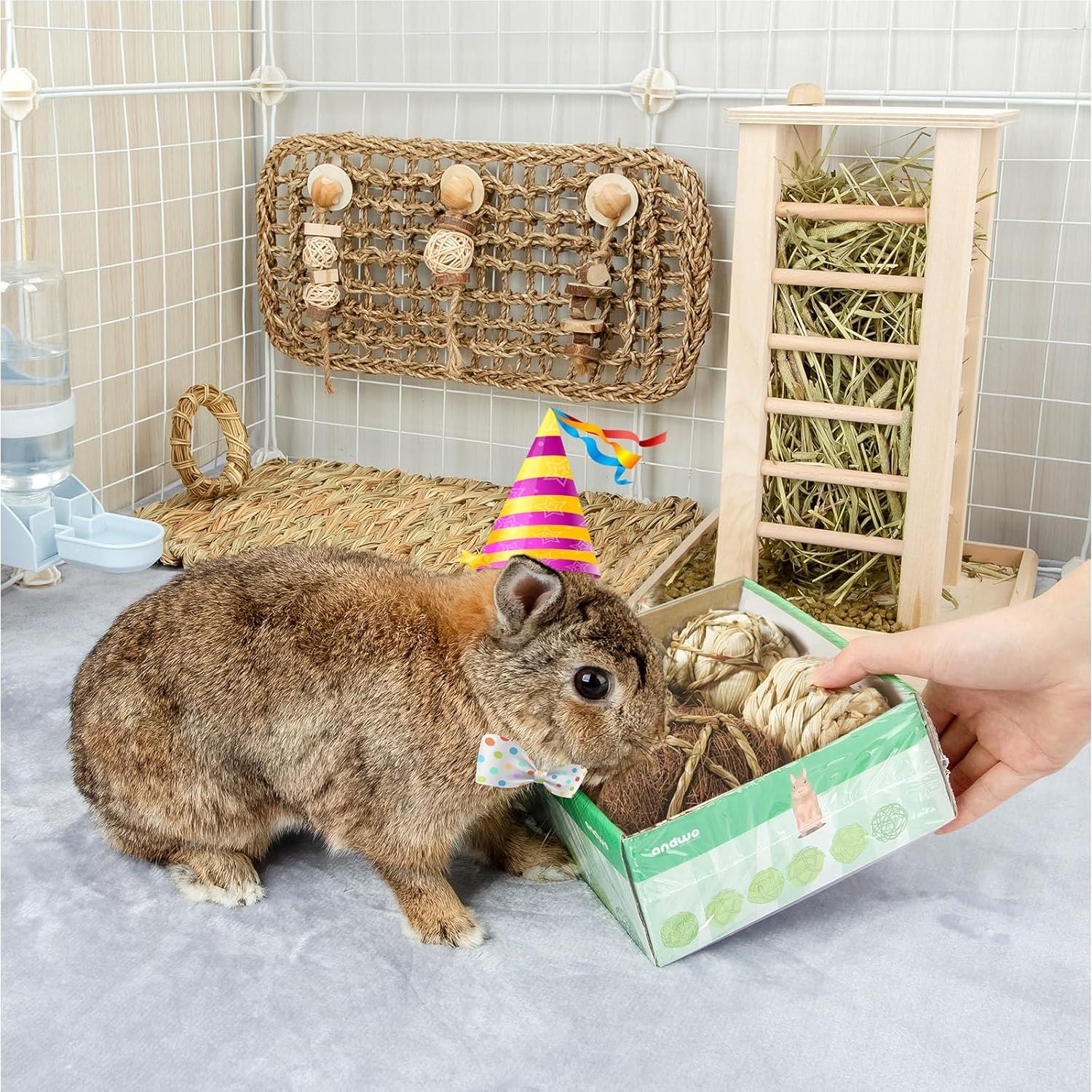 Pelotas de Juego para Mascotas Andwe - Paquete de 4