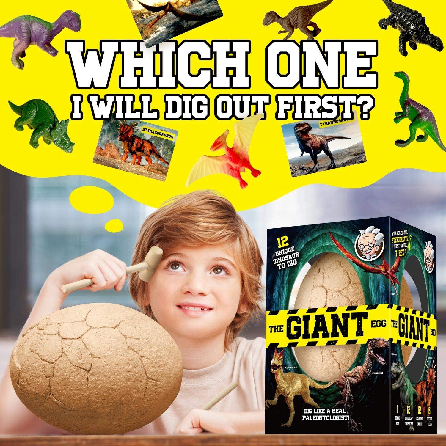 Kit de Excavación de Huevo de Dinosaurio XXTOYS Jumbo 12 Juguetes