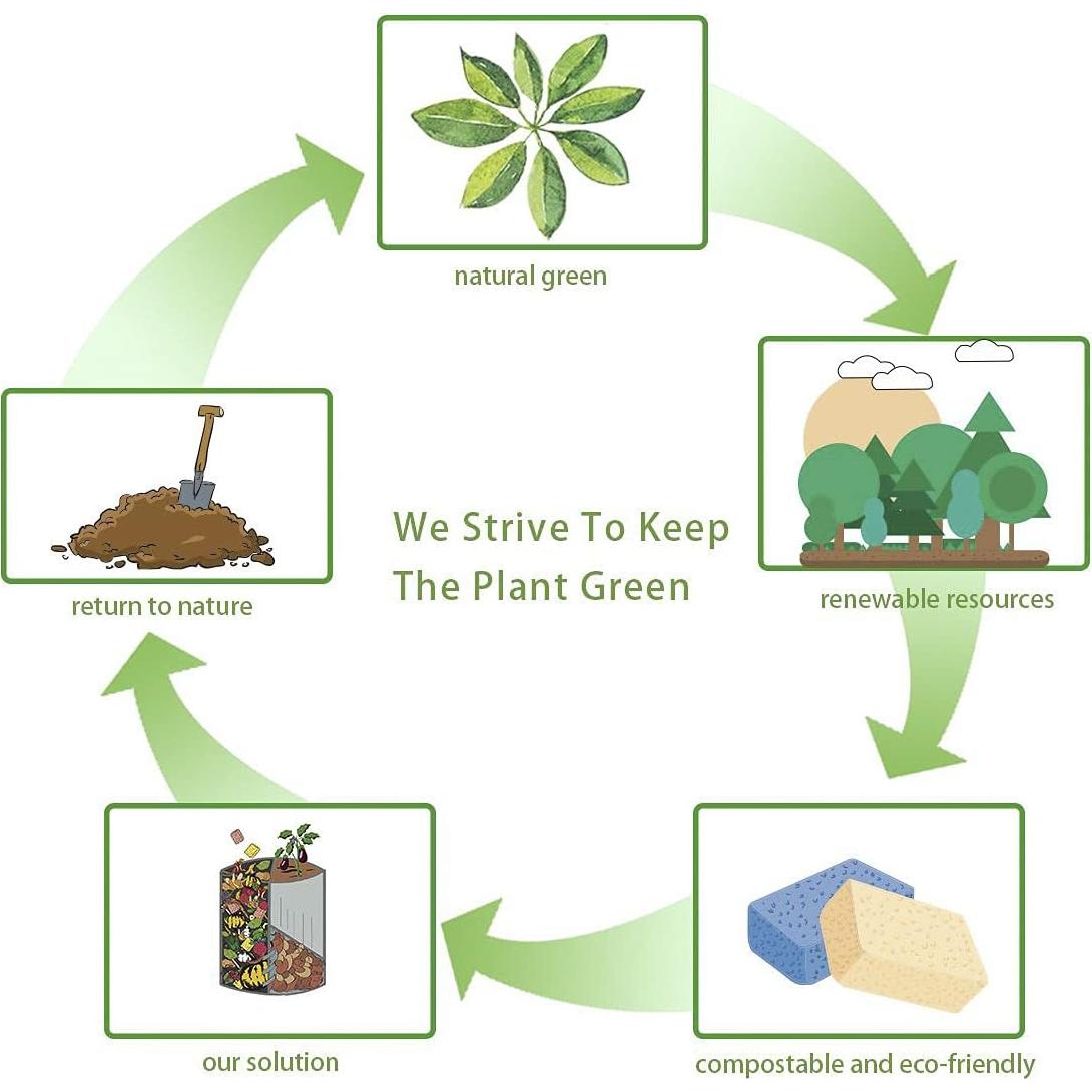 Esponjas de Celulosa Ecológicas Greenet, Paquete de 8 Grandes