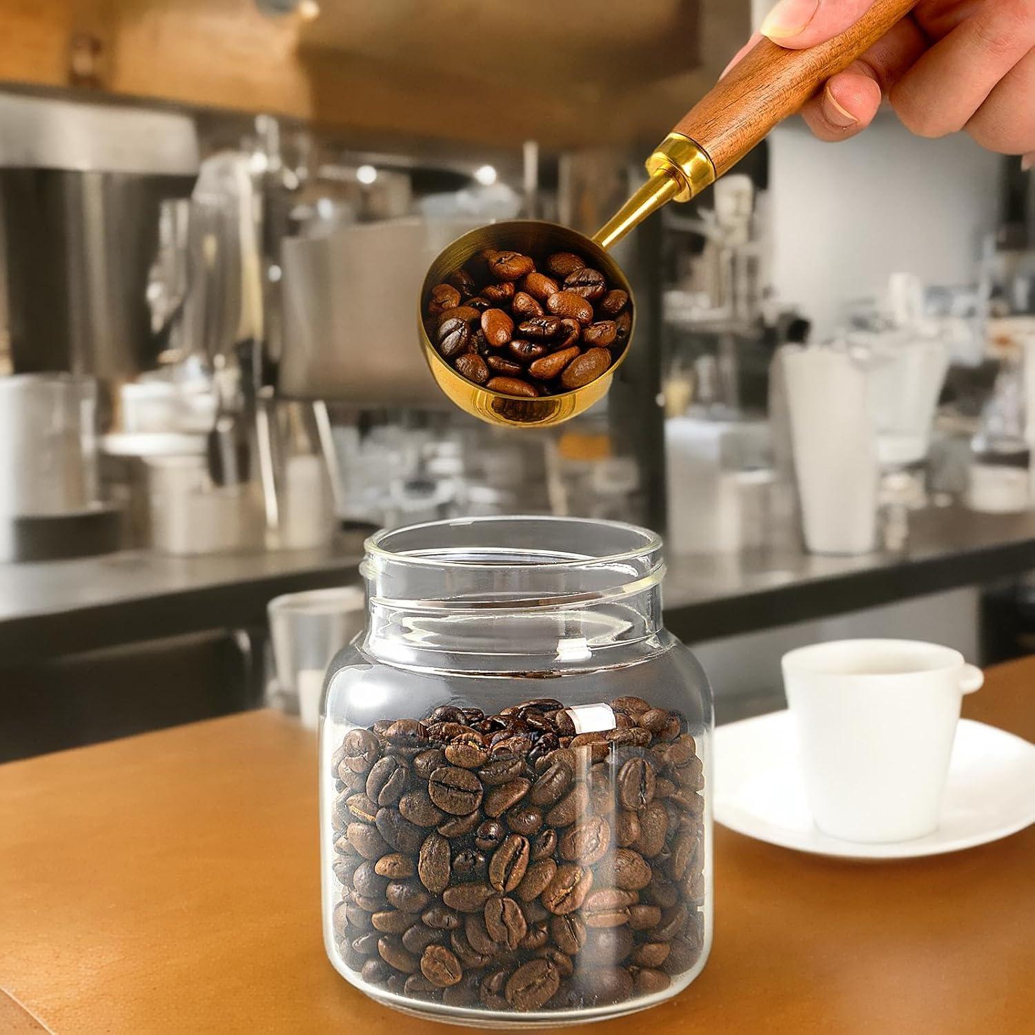 Cuchara medidora de café CheBuono 10g acero inoxidable y nogal