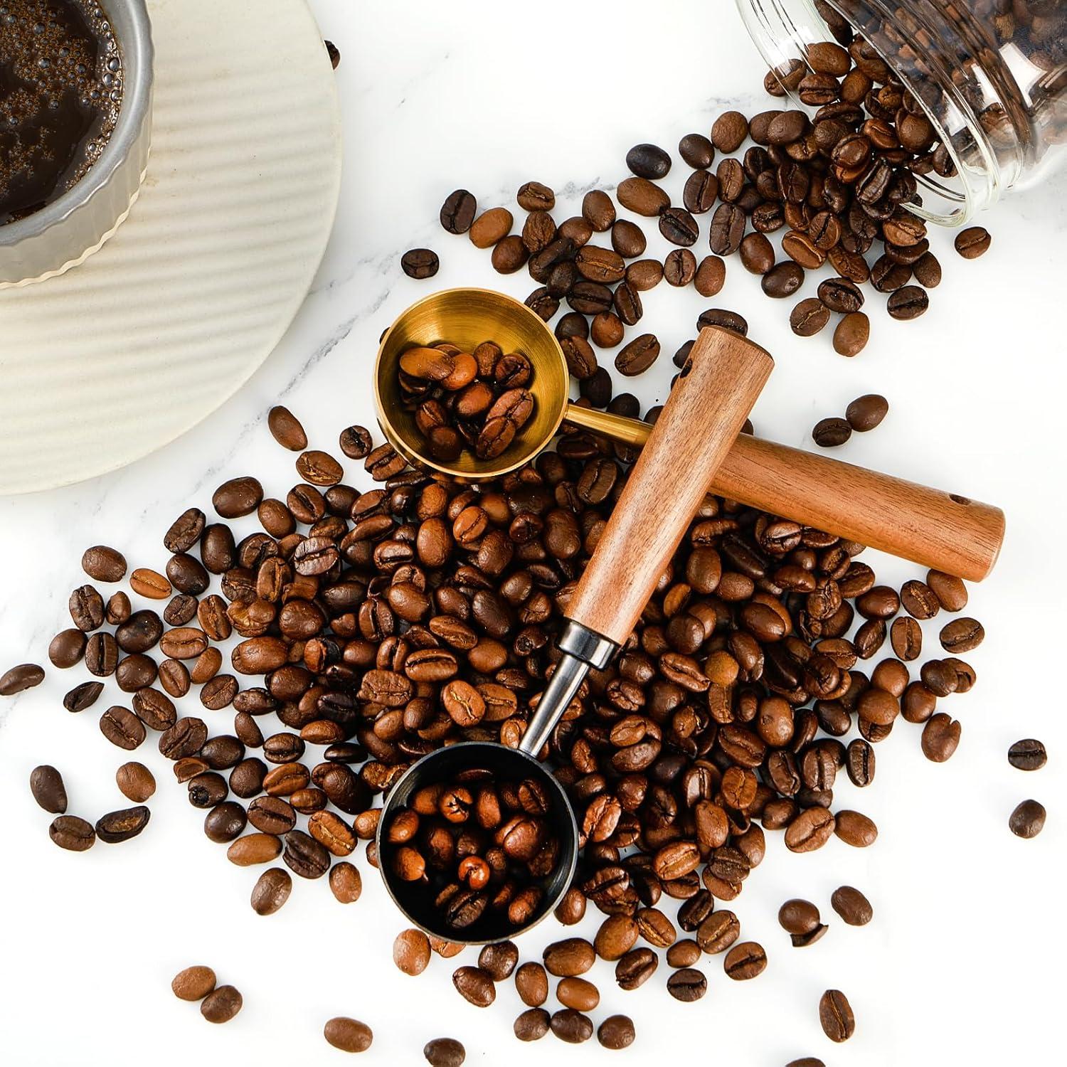 Cuchara medidora de café CheBuono 10g acero inoxidable y nogal