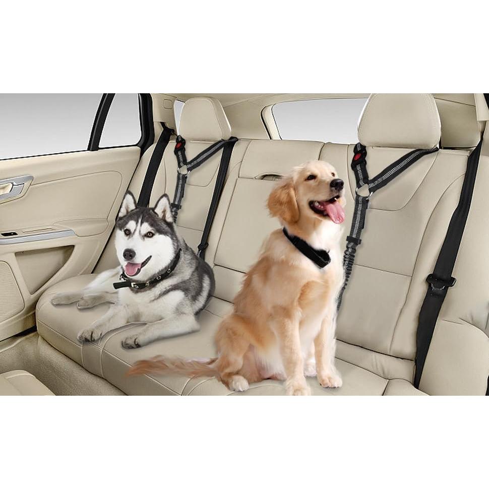 Arnés de Seguridad para Perros YAOHDAO Negro 3-en-1 Ajustable