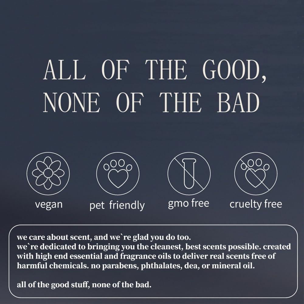 Ambientador de Piedra para Auto SHITAMEN - Recarga Huerto 3