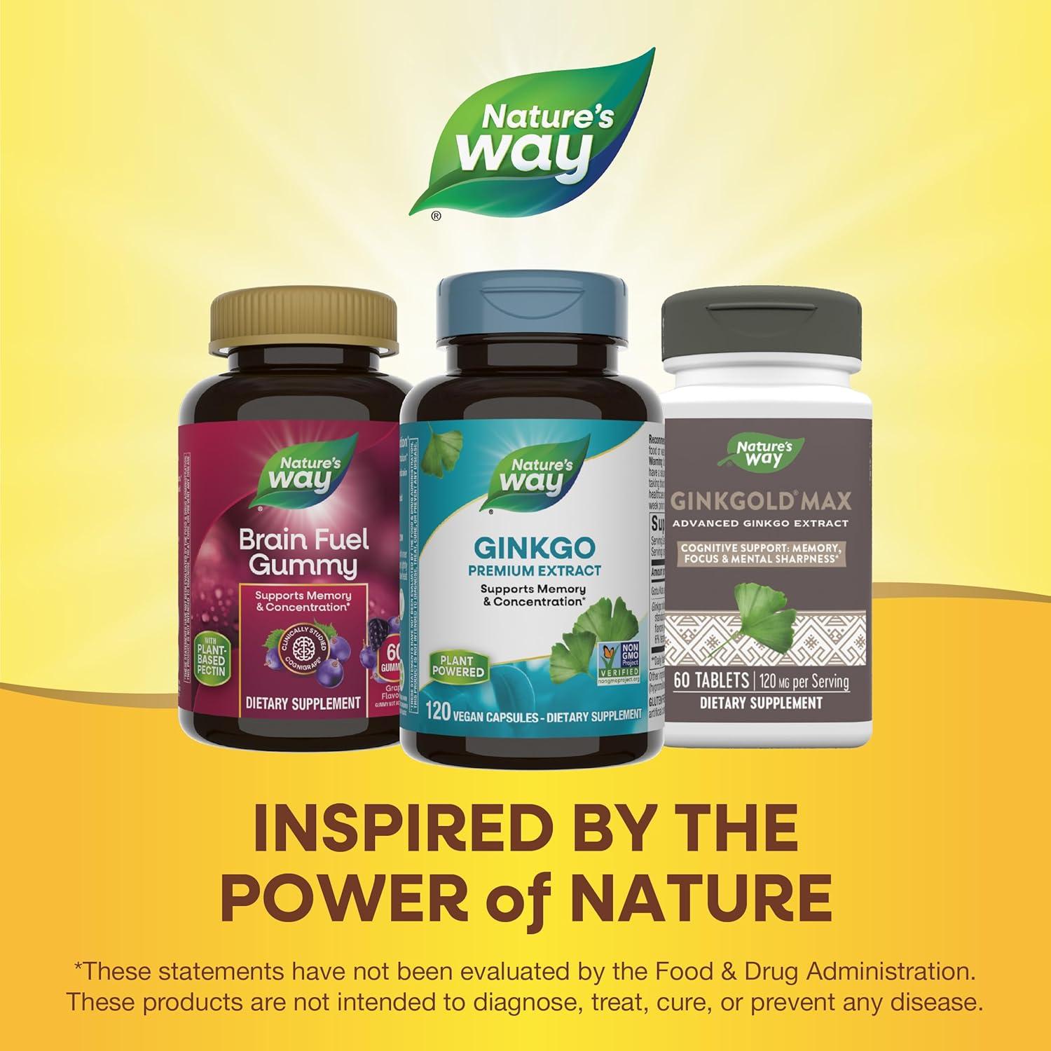 Extracto de Ginkgo Nature's Way 120 Cápsulas Memoria y Concentración