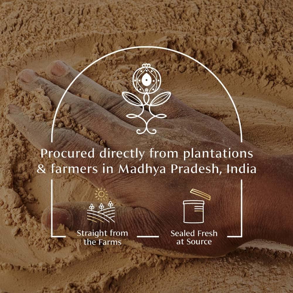 Polvo de Amla Orgánico VAHDAM 70g - Sin Gluten, Crudo, Amalaki