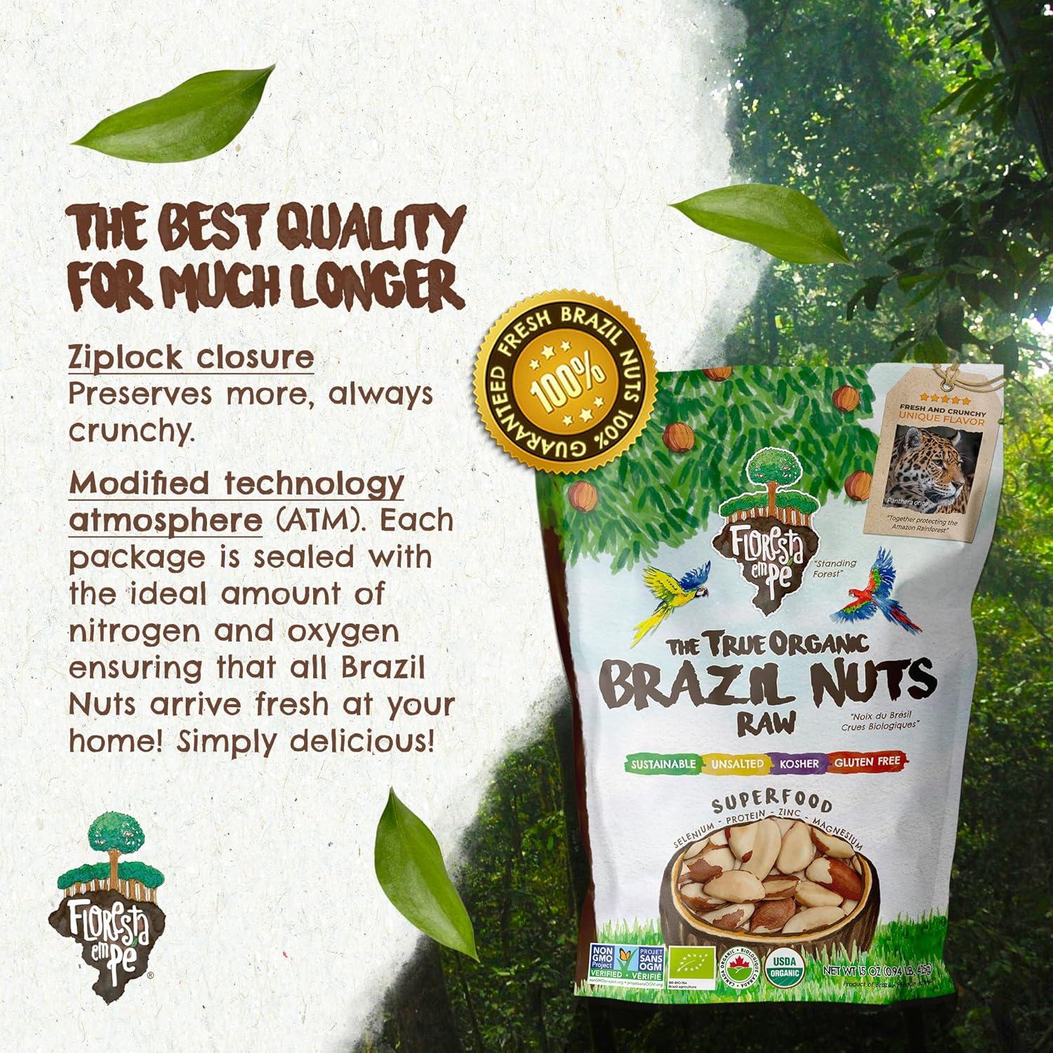 Nueces de Brasil Orgánicas Floresta en Pie 425g Crudas Sin Sal