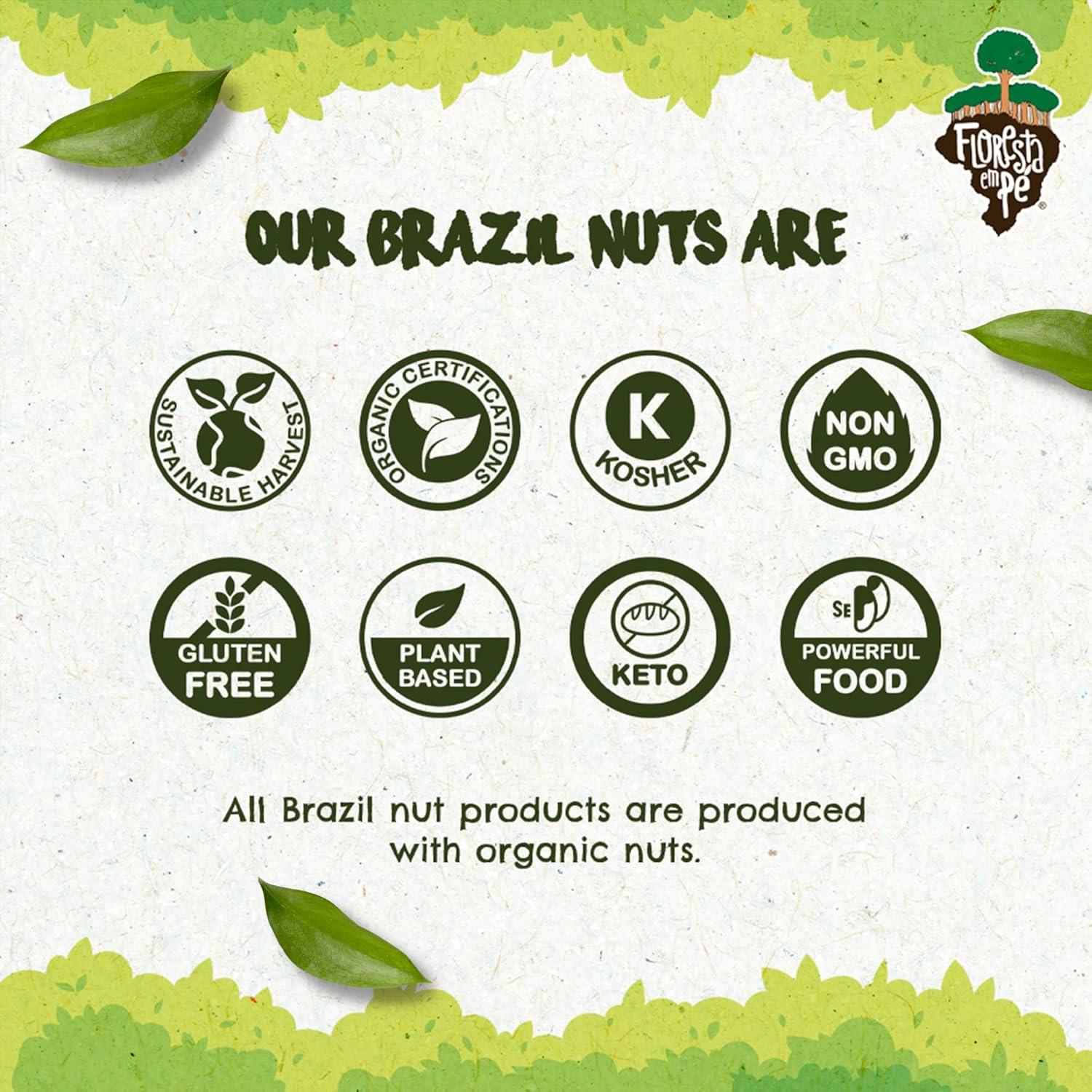 Nueces de Brasil Orgánicas Floresta en Pie 425g Crudas Sin Sal