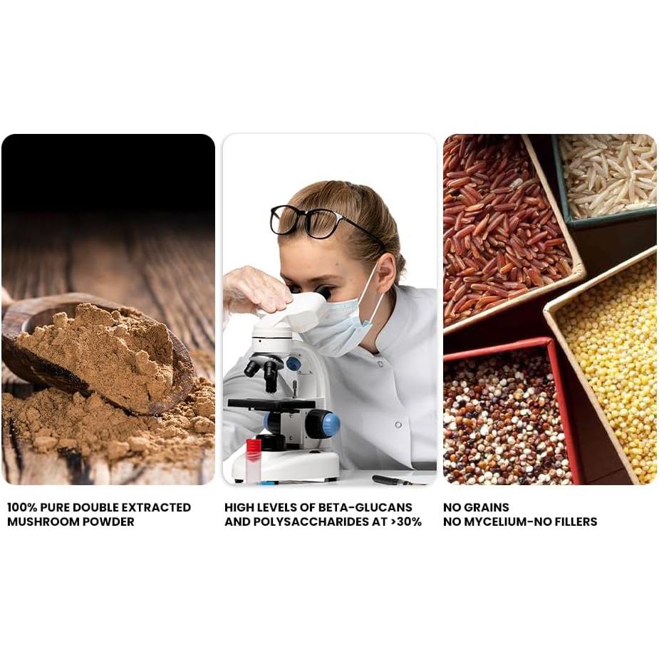 Suplemento Orgánico de Hongos 7 Mezcla Mejor 113.4g