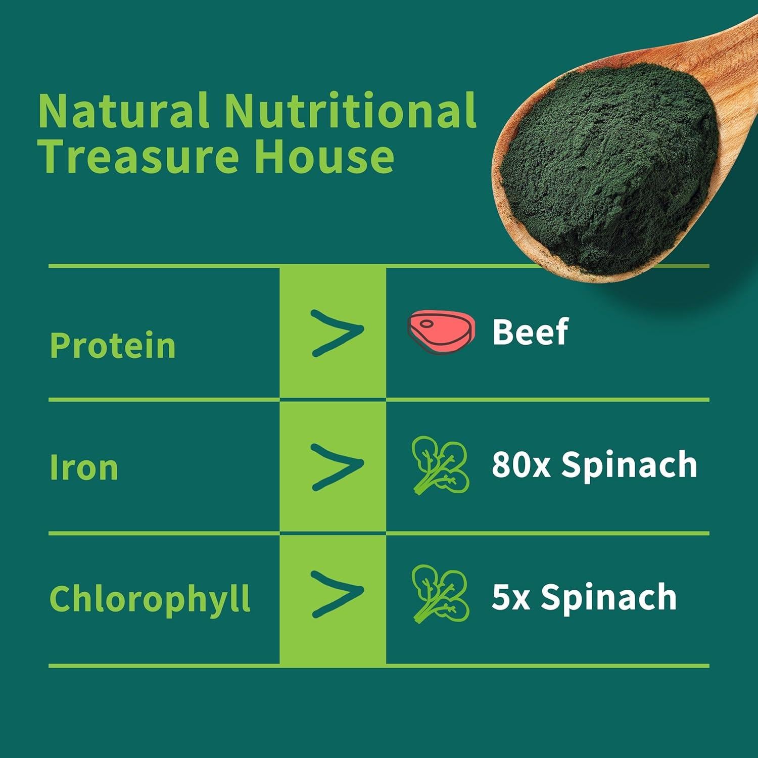 Polvo de Chlorella Natural HUDETEX 226.8 g - Vegano, Rico en Proteínas