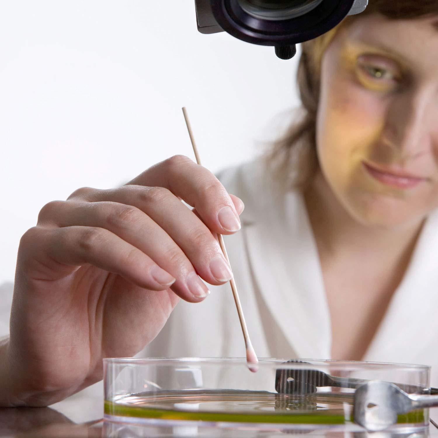 Bastones de Algodón Tbestmax 15 cm - 500 Piezas Estériles