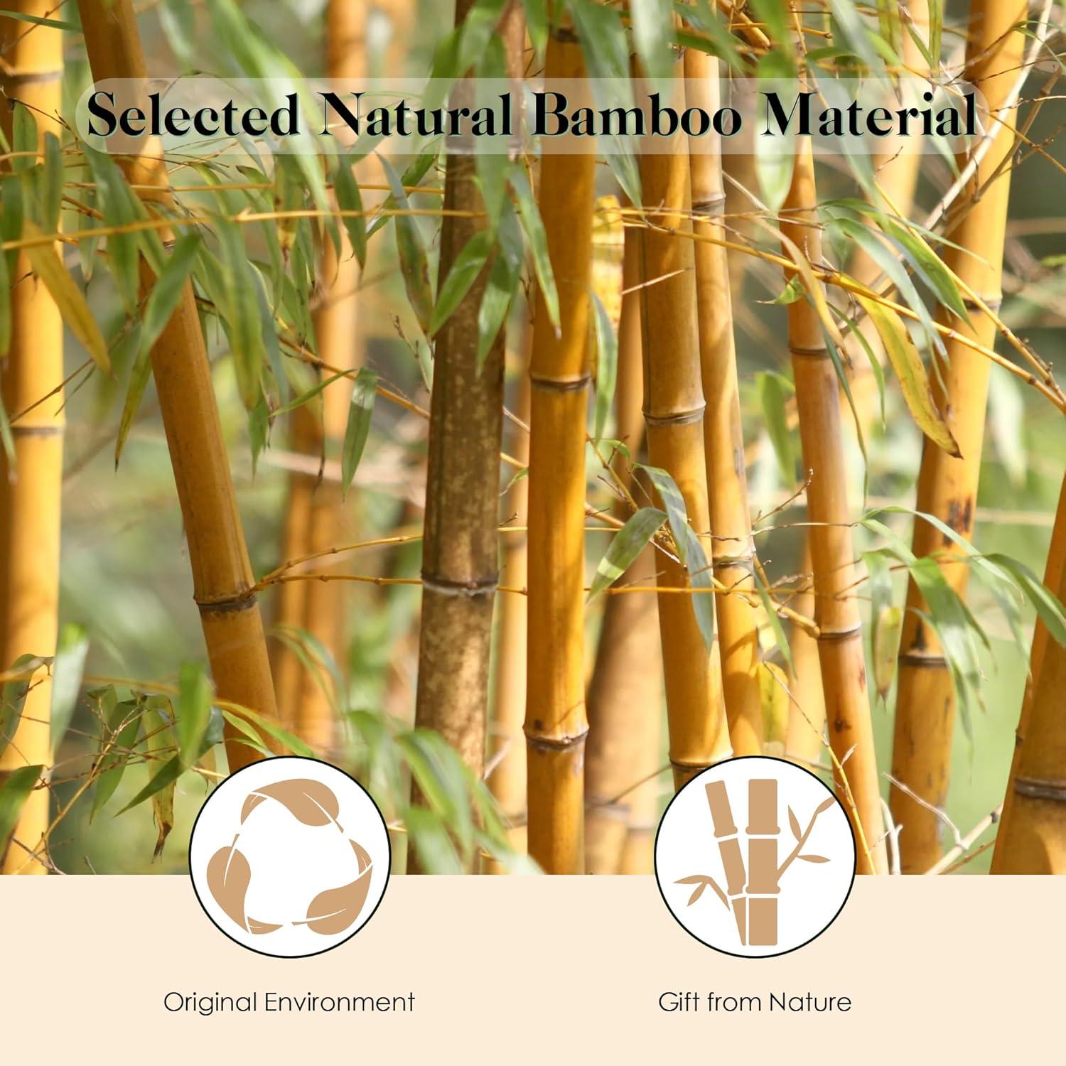 Cepillo de Pelo de Bambú GAINWELL Ergonomico 25.5cm