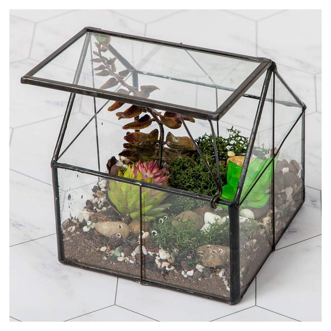 Terrario de Vidrio Ferrisland 10.9x10.9x12.7 cm para Suculentas