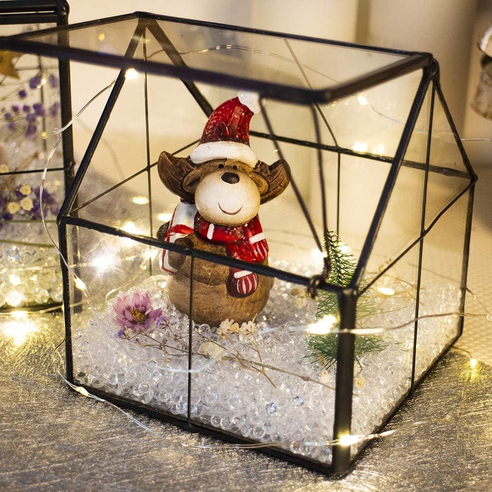 Terrario de Vidrio Ferrisland 10.9x10.9x12.7 cm para Suculentas