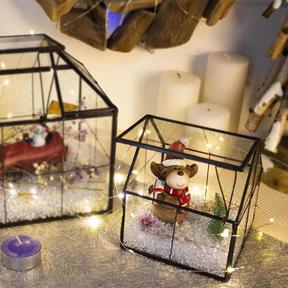 Terrario de Vidrio Ferrisland 10.9x10.9x12.7 cm para Suculentas