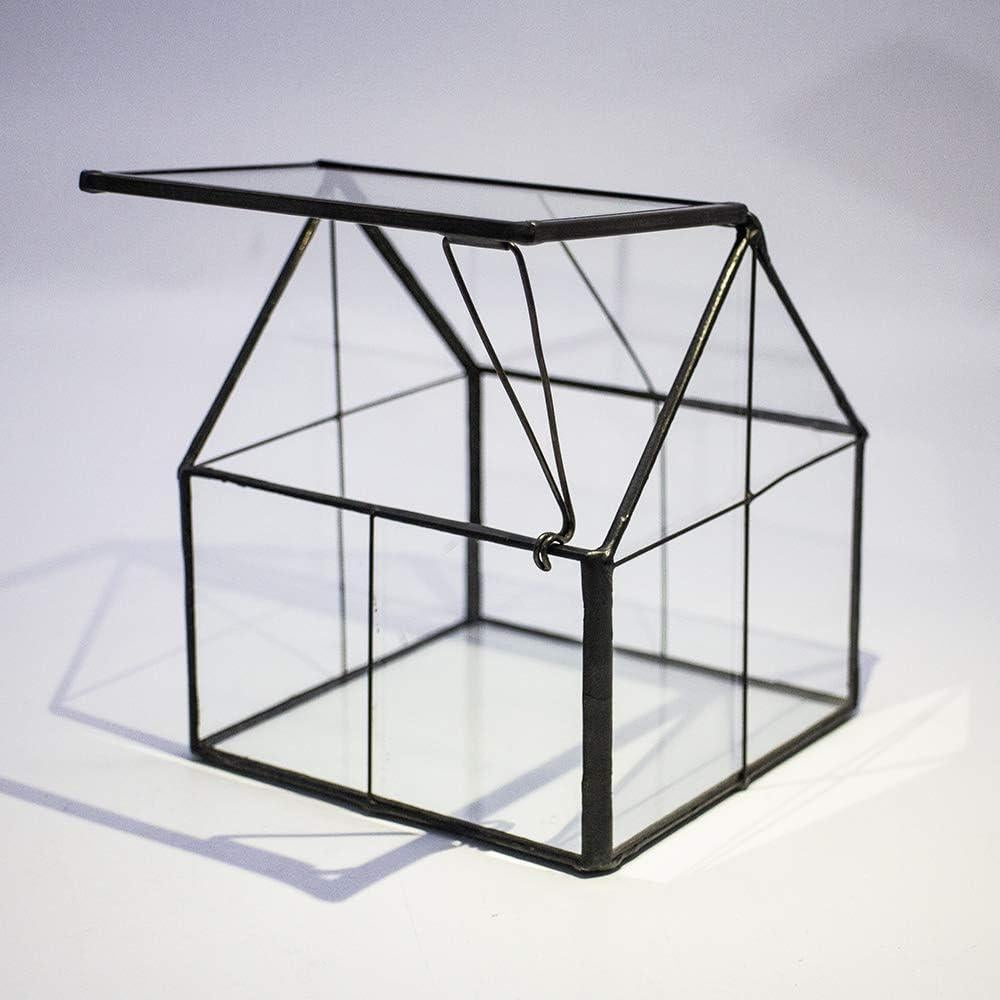 Terrario de Vidrio Ferrisland 10.9x10.9x12.7 cm para Suculentas