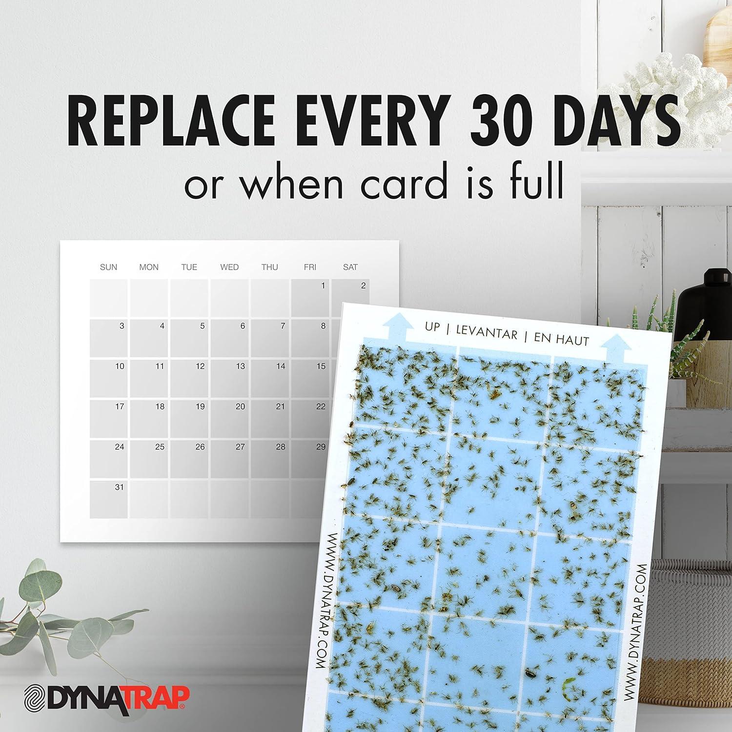 Tarjetas de Pegamento DynaTrap 230093 - Paquete de 6 para Insectos