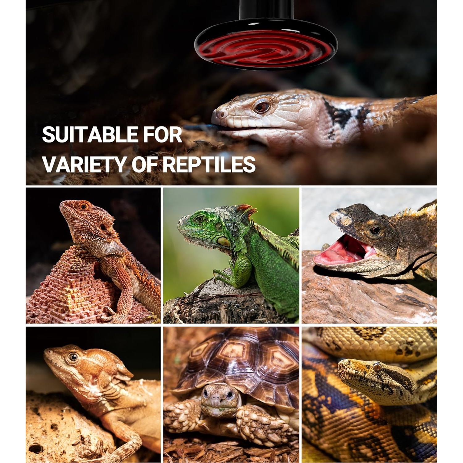 Lámpara de Calor Cerámica 60W REPTI ZOO 2 Pack para Reptiles