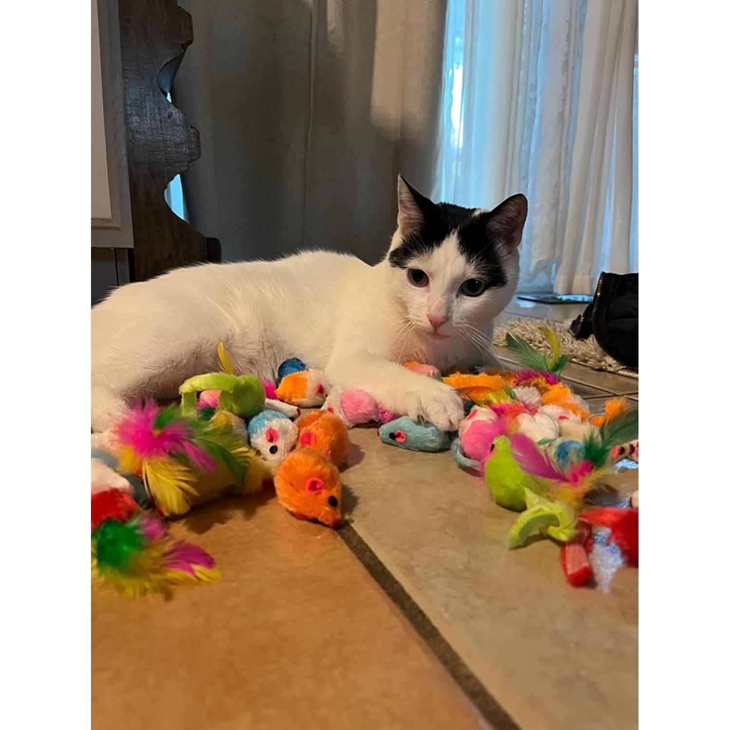 Juguetes para Gatos Charla de Moda 48 Ratones de Peluche