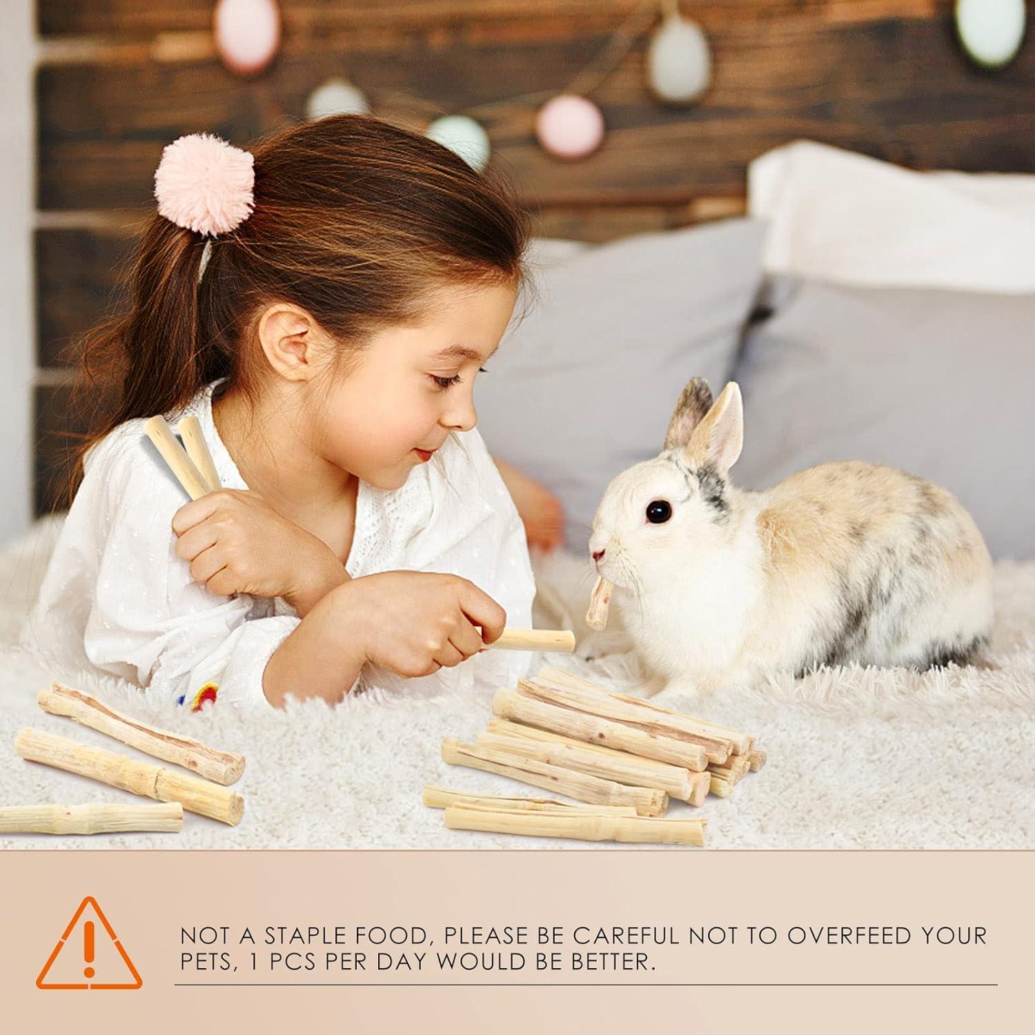 Palitos de Masticar de Bambú Dulce Bissap 700g para Conejos