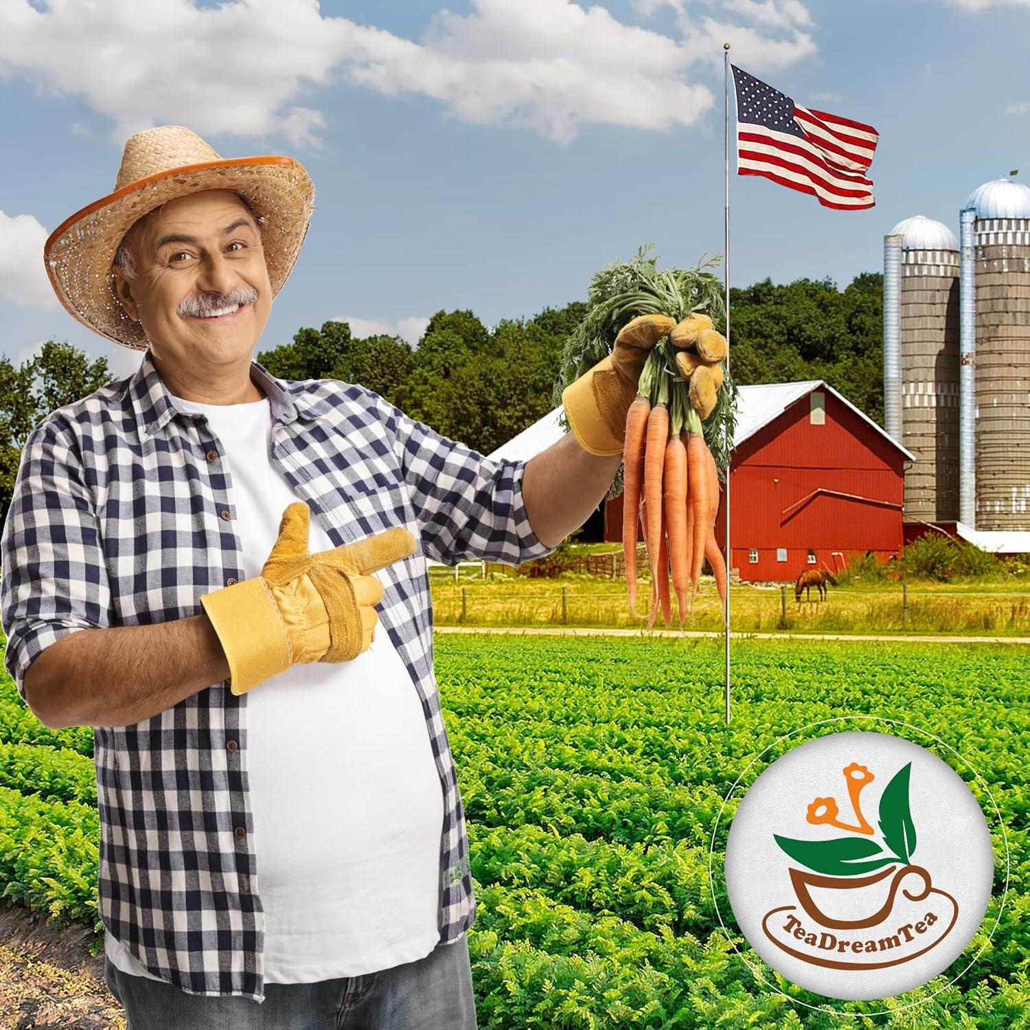 Té Herbal a Granel TeaDreamTea - Zanahoria, Jengibre y Naranja - 113 g