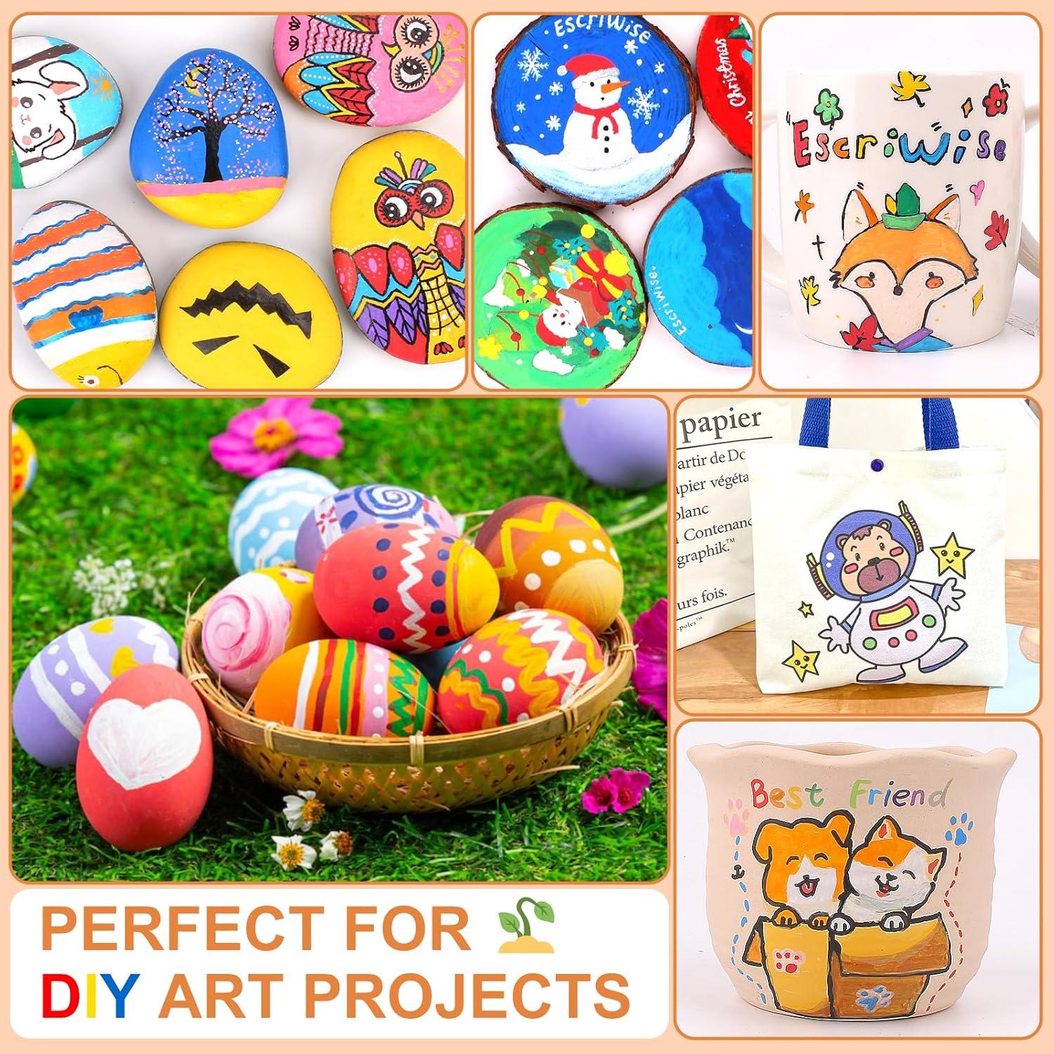 Juego de 48 Marcadores Acrílicos EscriWise - Doble Punta, 1-5mm