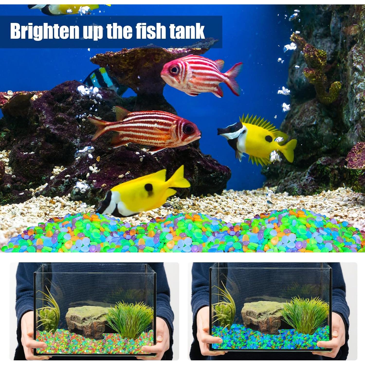 Rocas Brillantes Sasylvia 12000 Pcs para Jardín y Acuario